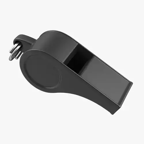 Whistle