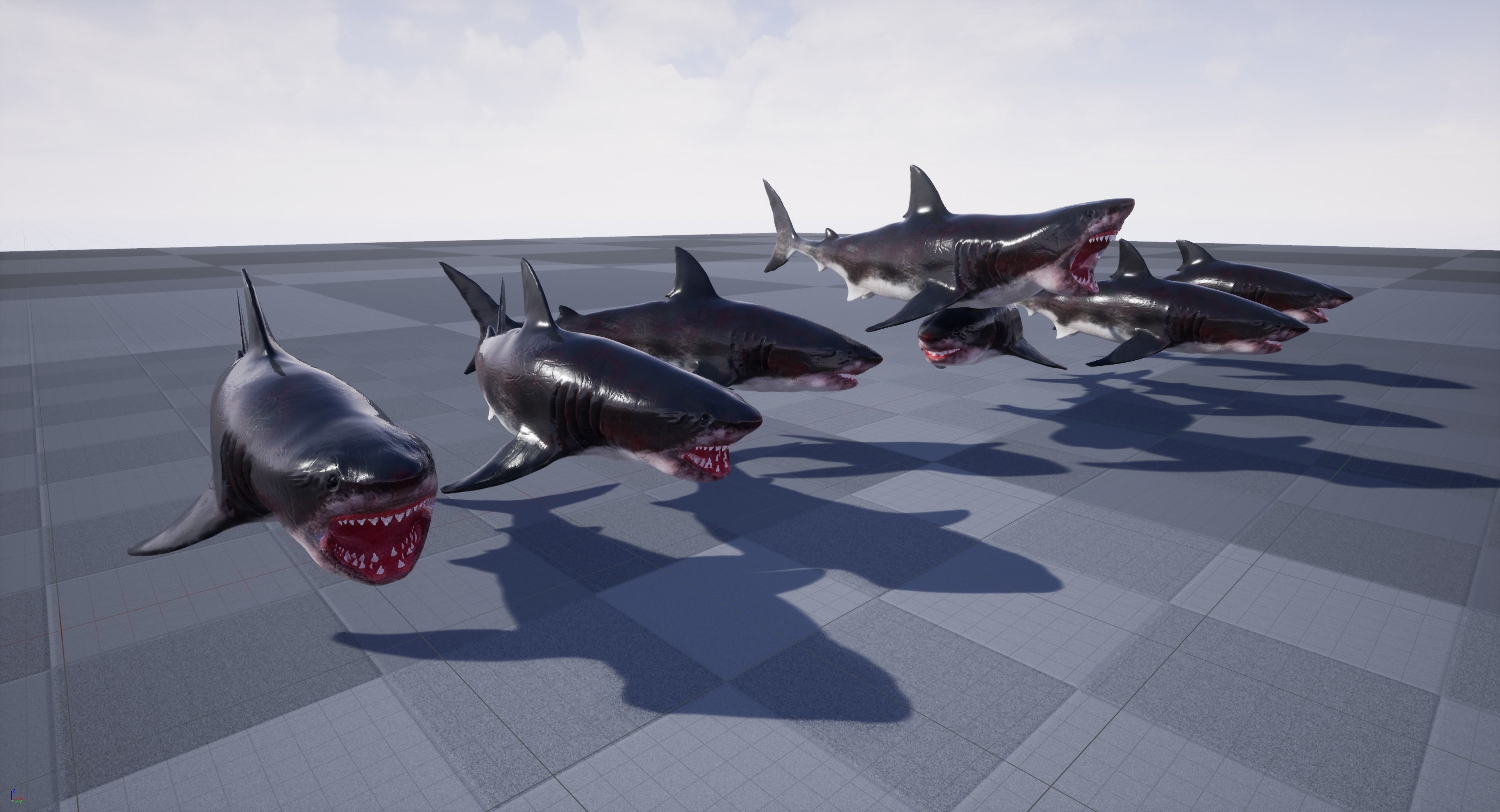 Great White Shark Model  7 animations Pack Low-poly 3D model_24
