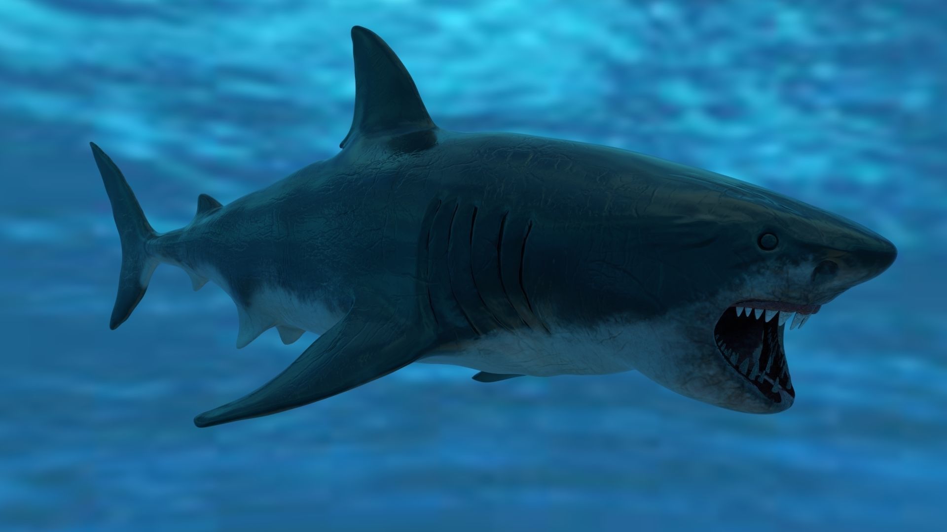 Great White Shark Model  7 animations Pack Low-poly 3D model_8