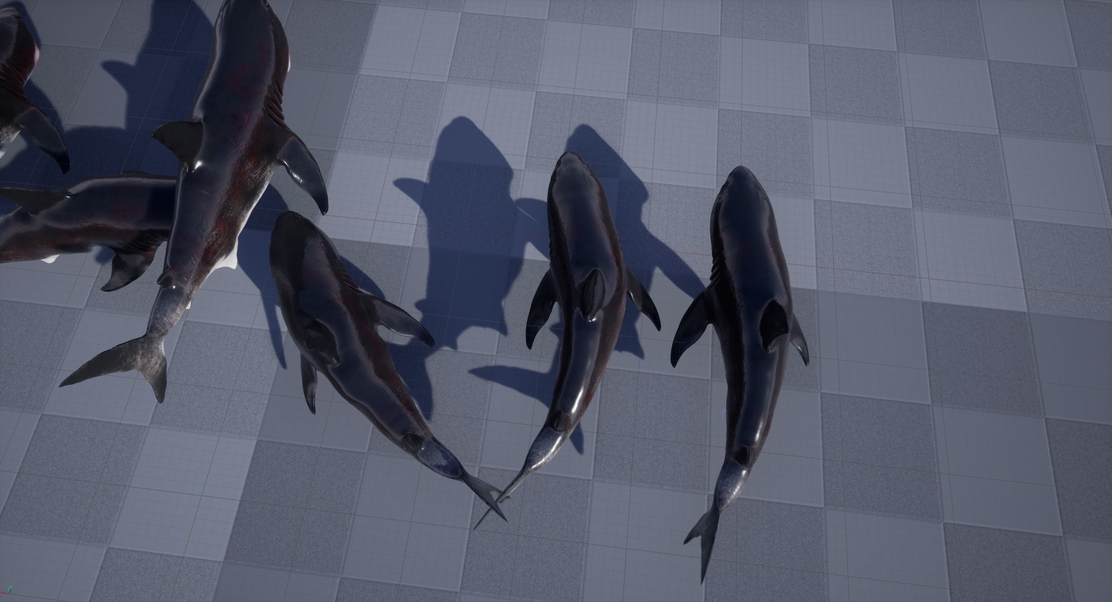 Great White Shark Model  7 animations Pack Low-poly 3D model_27