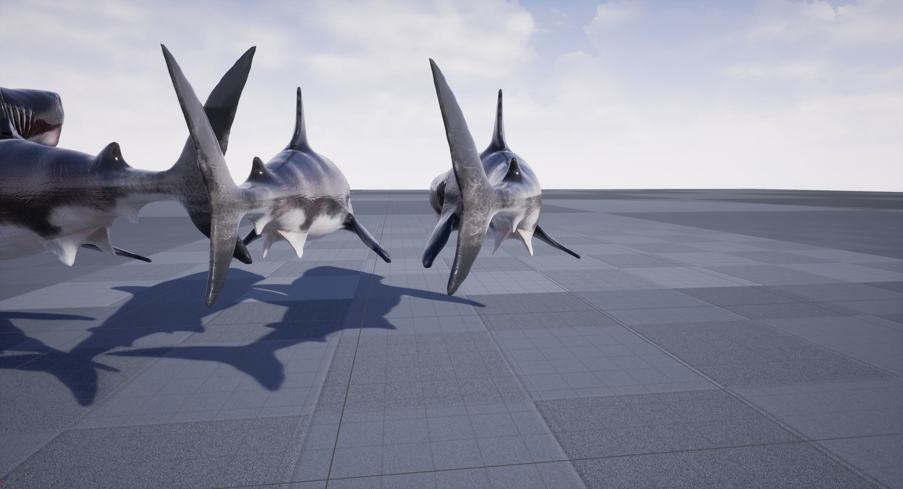 Great White Shark Model  7 animations Pack Low-poly 3D model_28