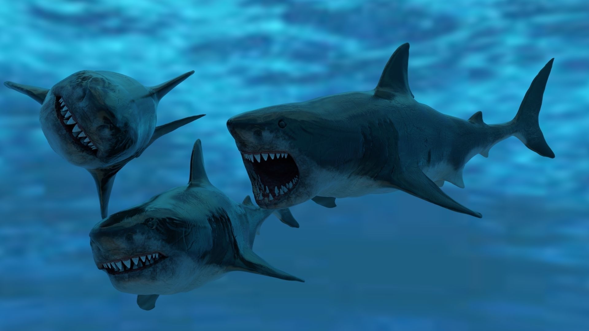 Great White Shark Model  7 animations Pack Low-poly 3D model_9