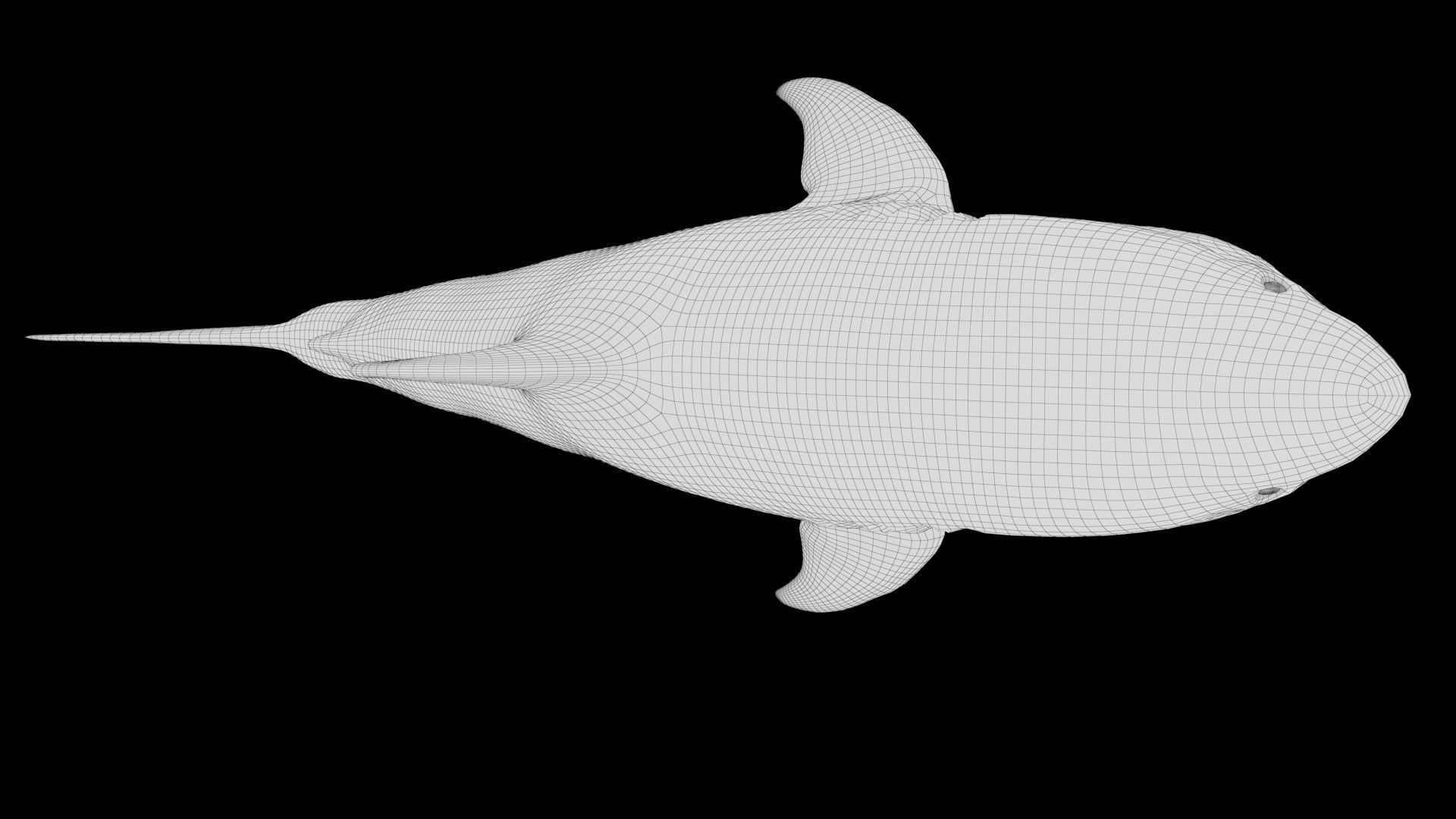 Great White Shark Model  7 animations Pack Low-poly 3D model_18