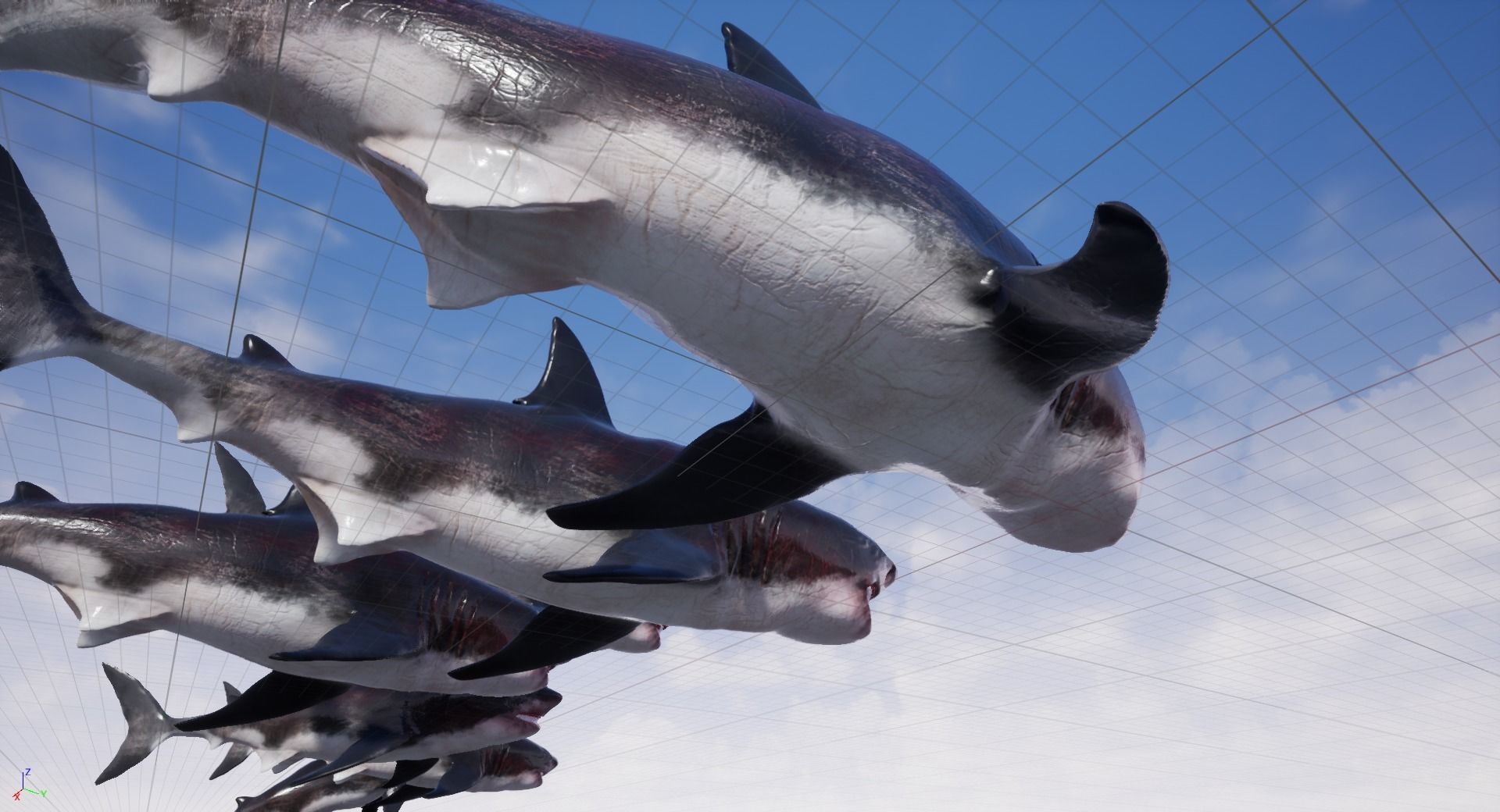 Great White Shark Model  7 animations Pack Low-poly 3D model_23