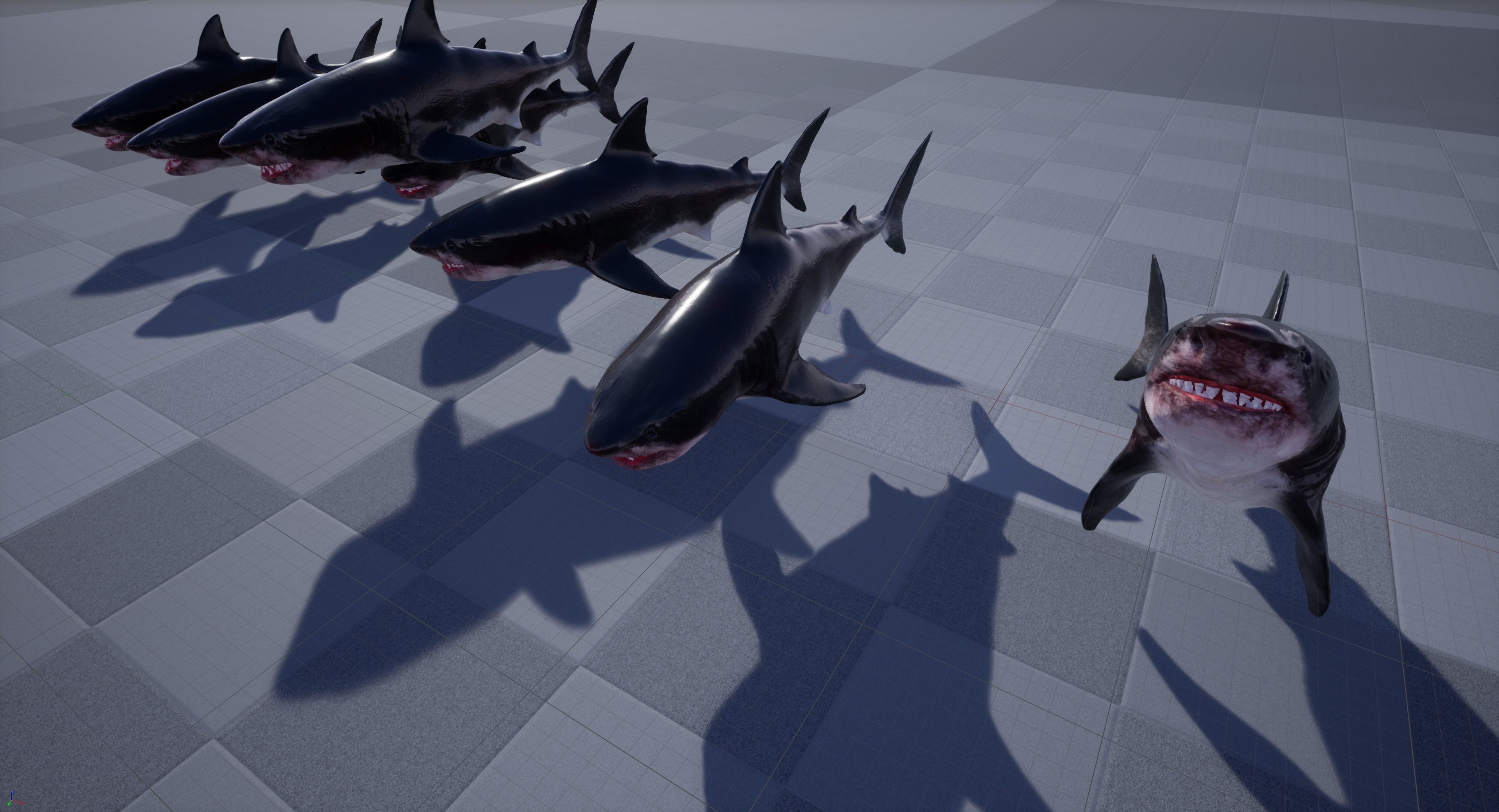 Great White Shark Model  7 animations Pack Low-poly 3D model_29