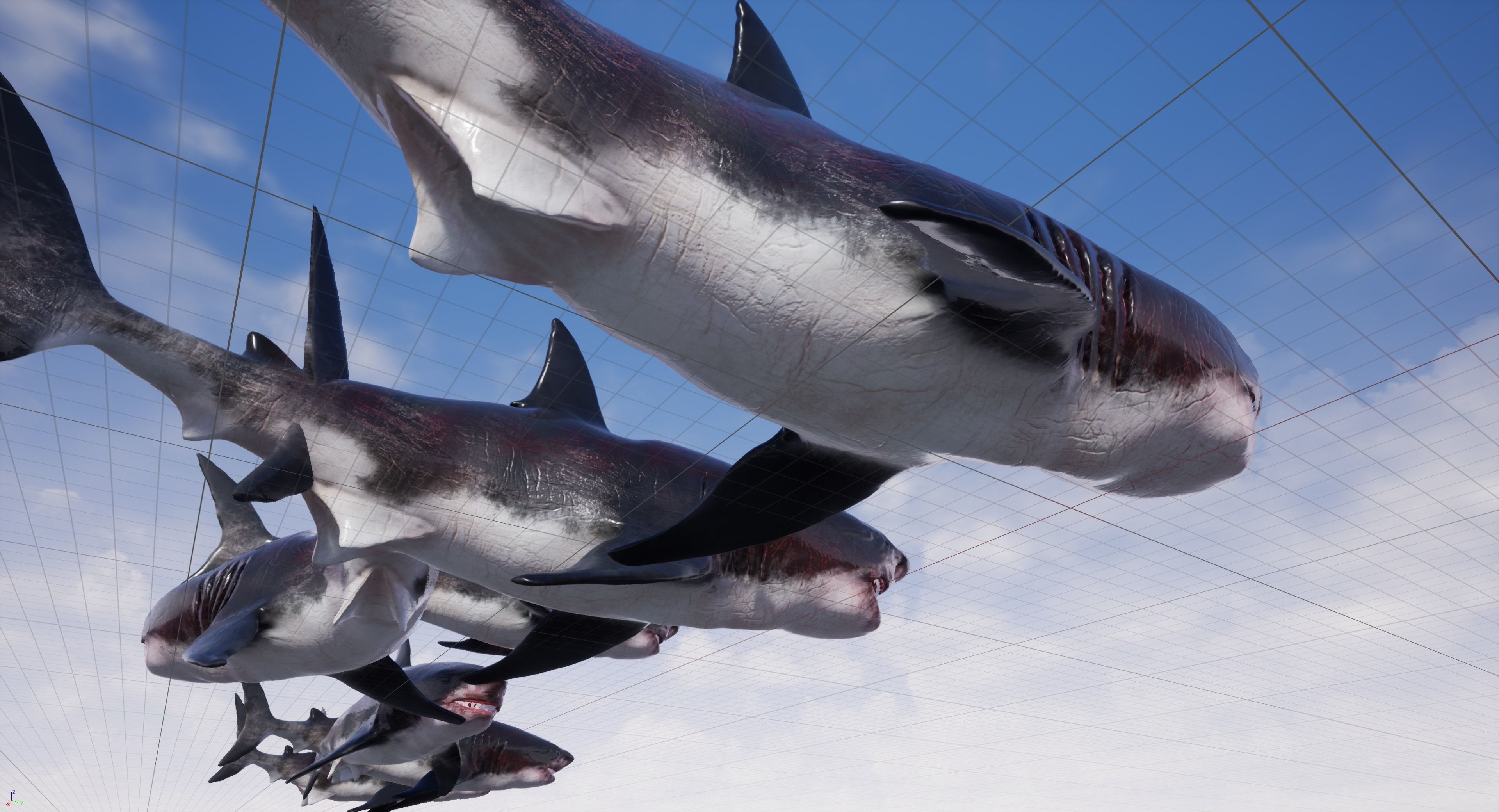 Great White Shark Model  7 animations Pack Low-poly 3D model_26