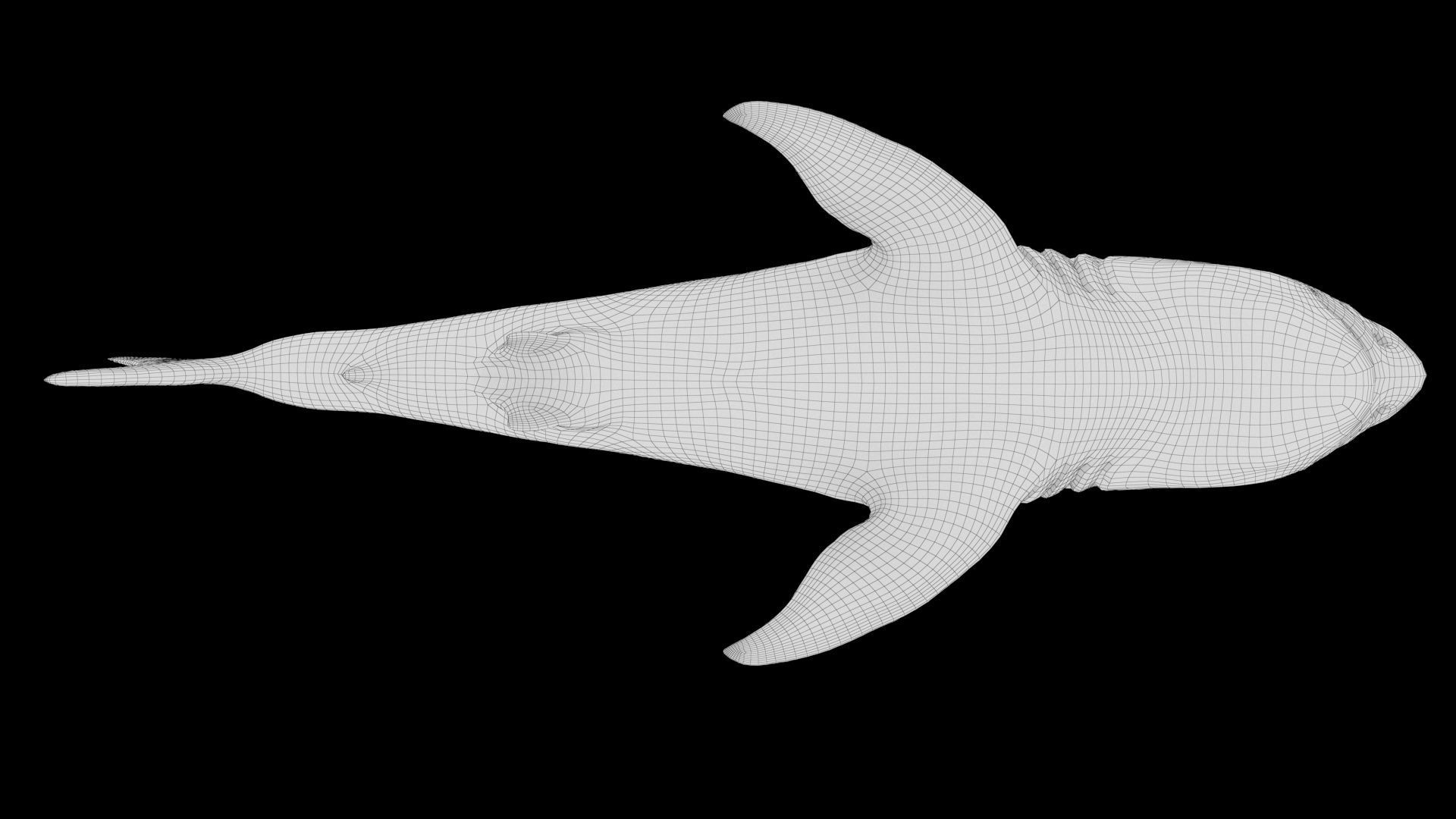 Great White Shark Model  7 animations Pack Low-poly 3D model_19