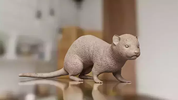 Pet World STL Ferret Print Ready Toy