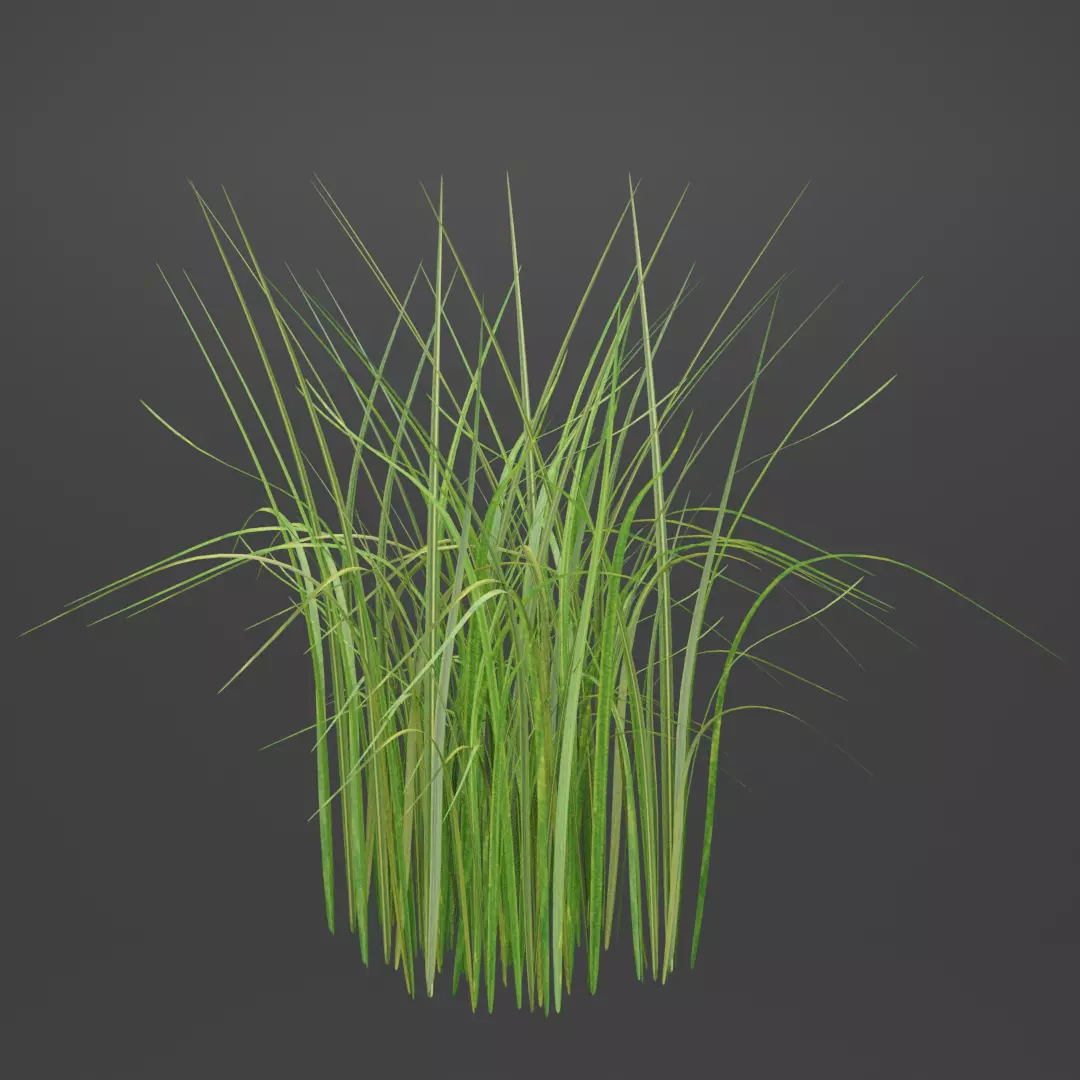 Grass set for landscape Free low-poly 3D model_0