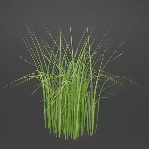 Grass set for landscape