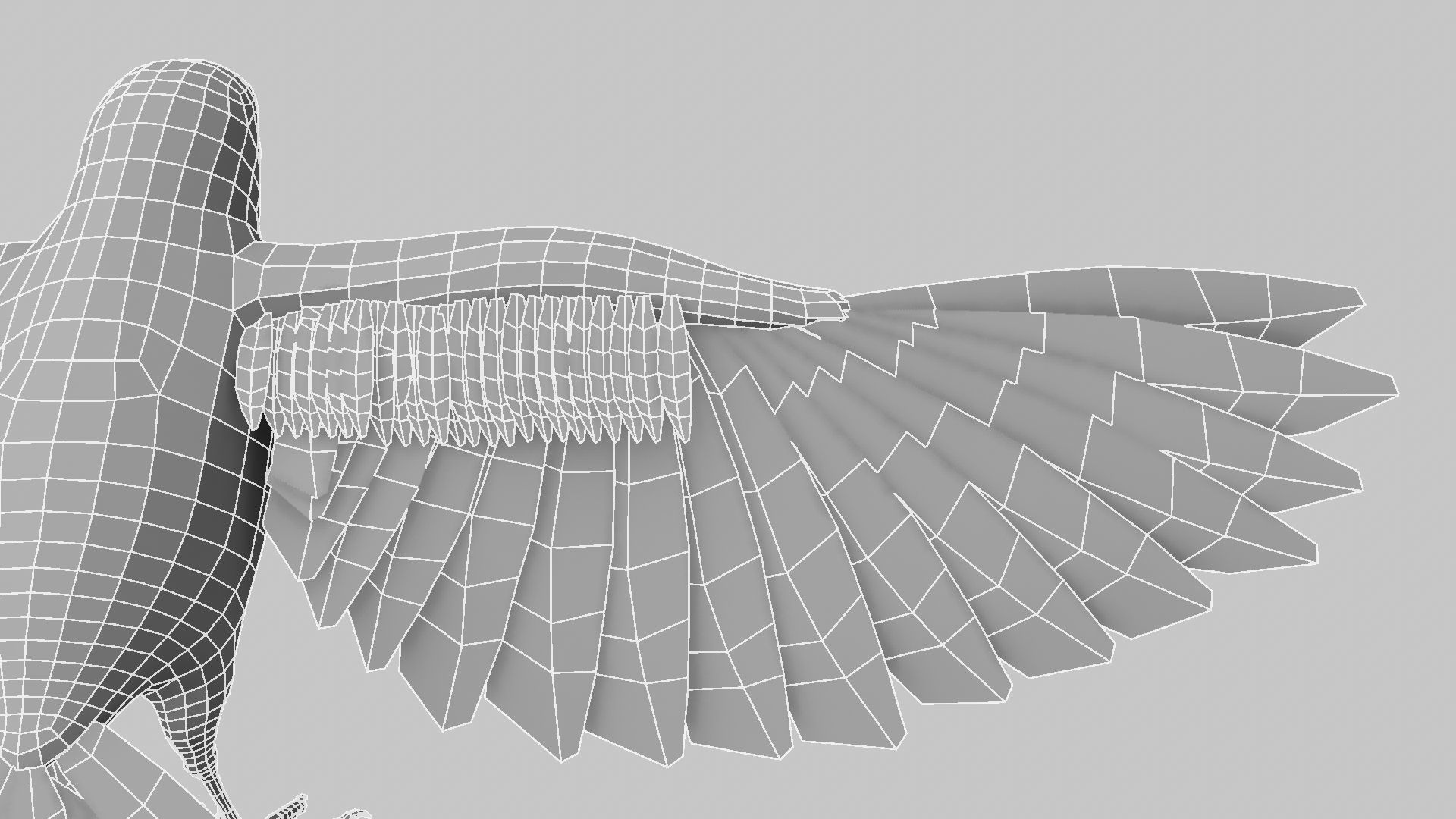 Baya Weaver 3D model_21