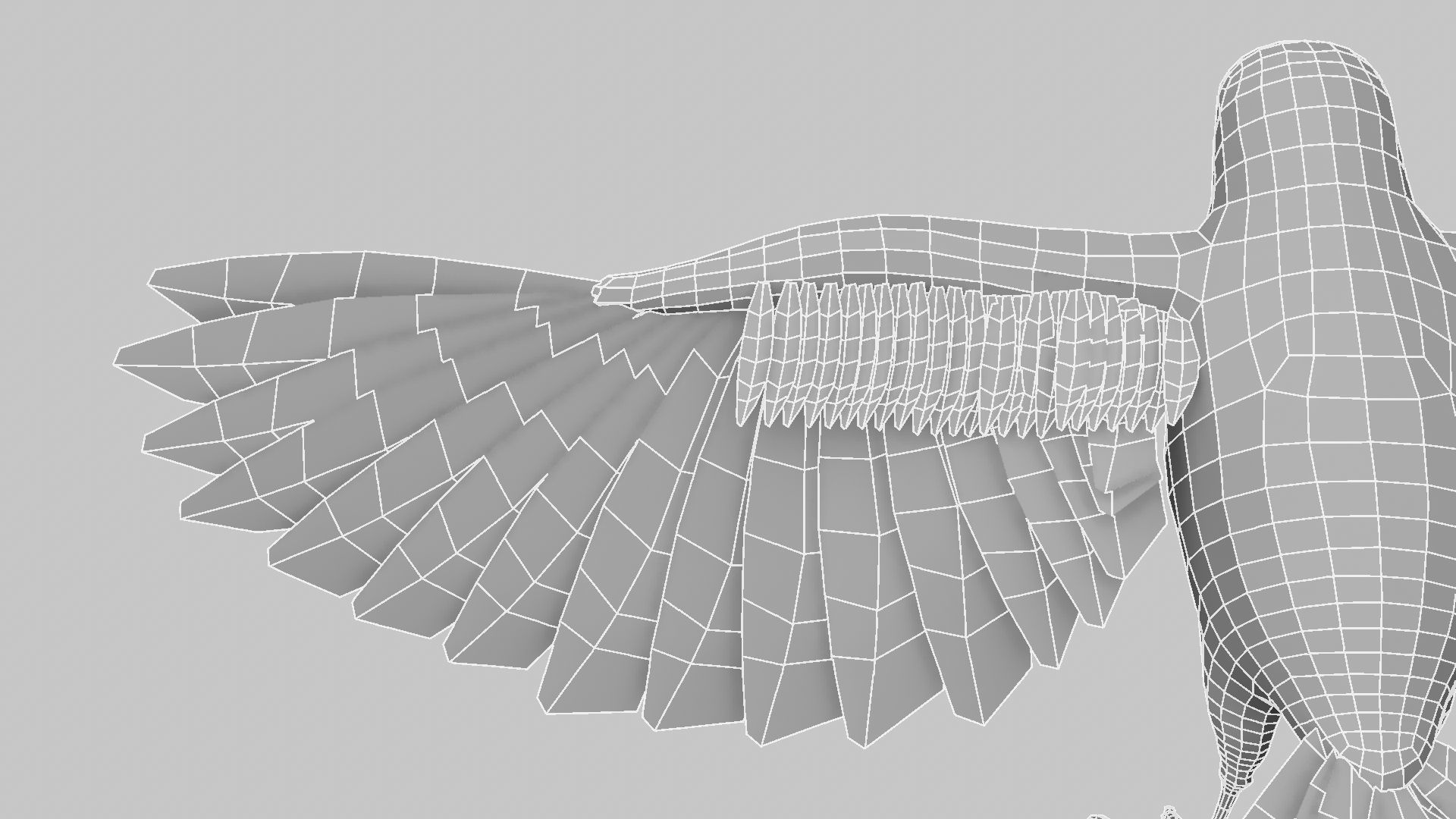 Baya Weaver 3D model_19