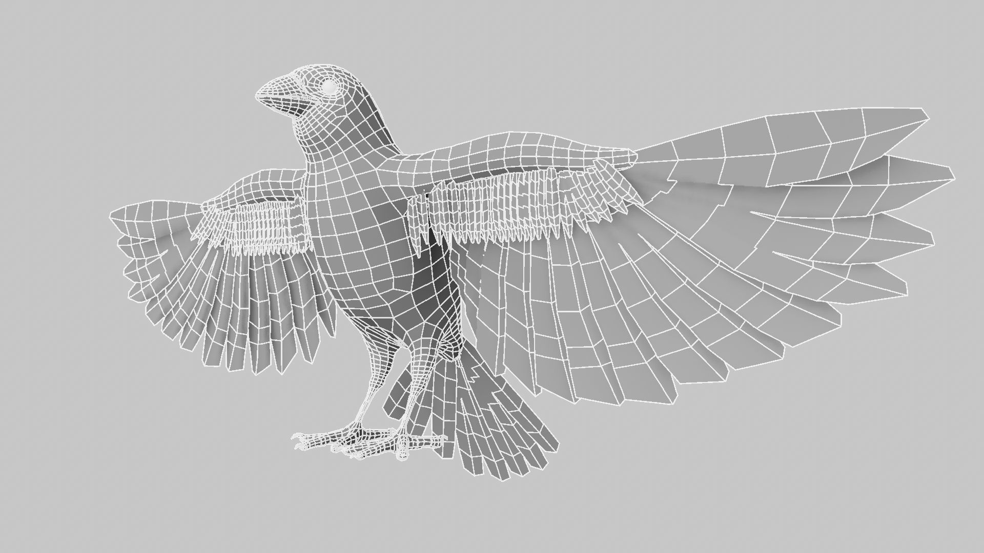 Baya Weaver 3D model_38