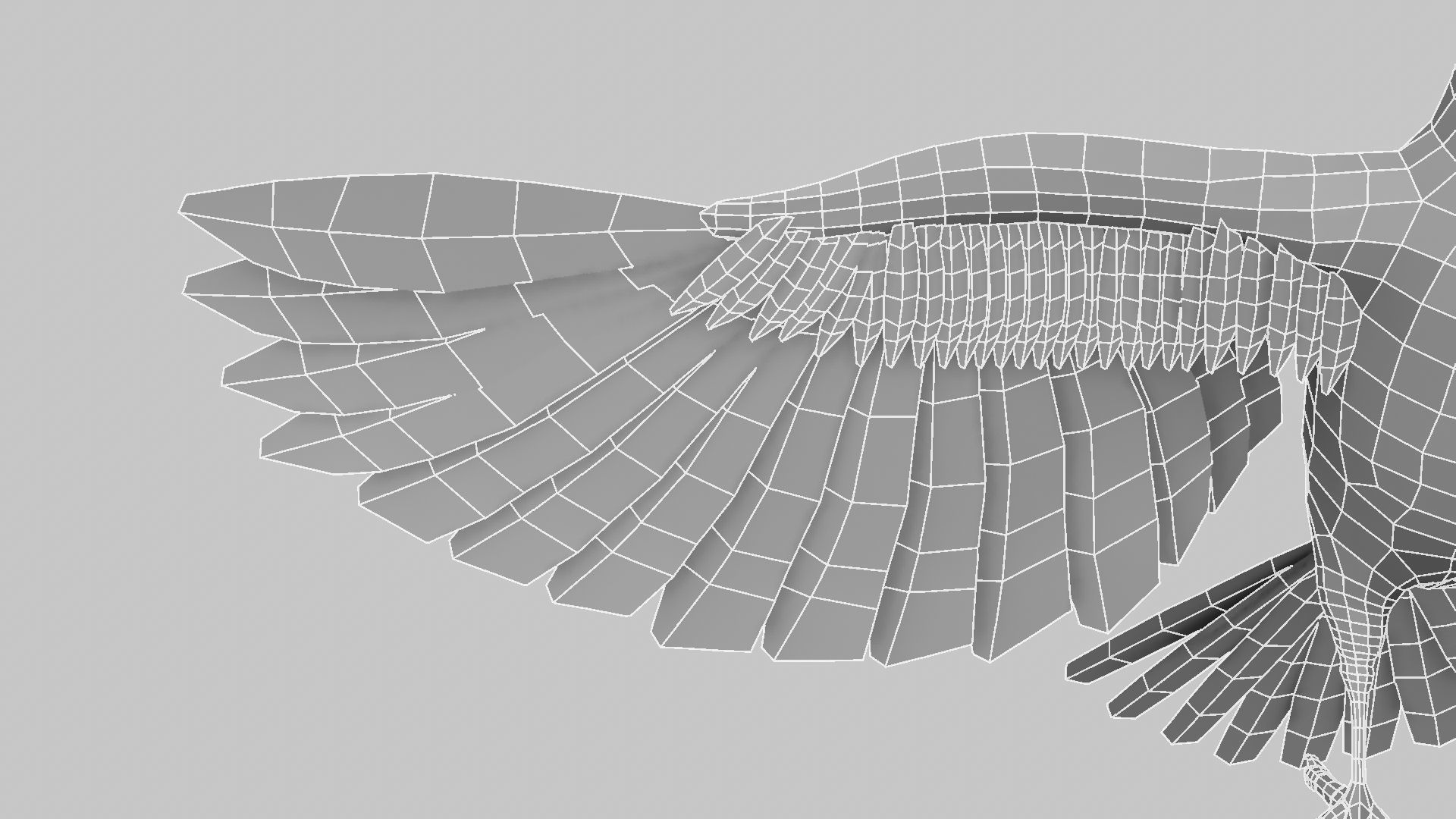 Baya Weaver 3D model_22