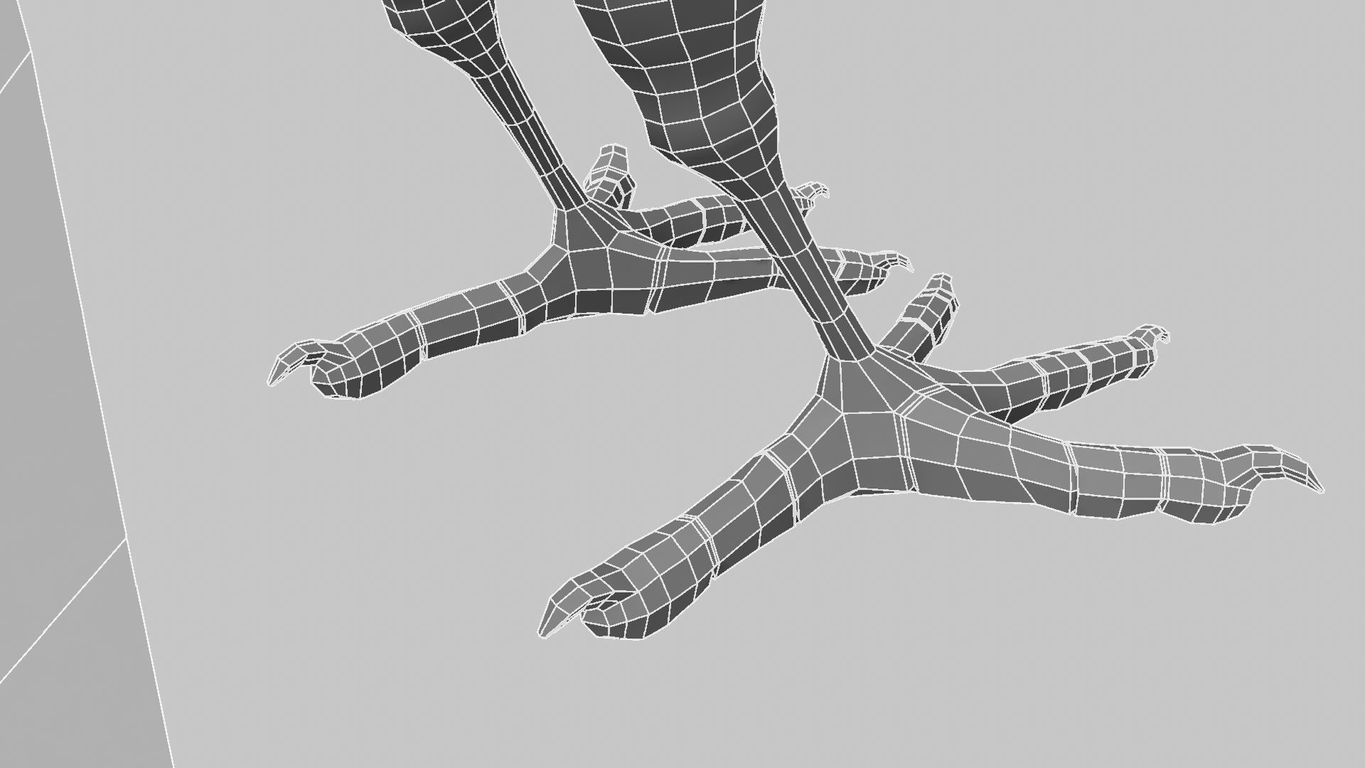 Baya Weaver 3D model_24