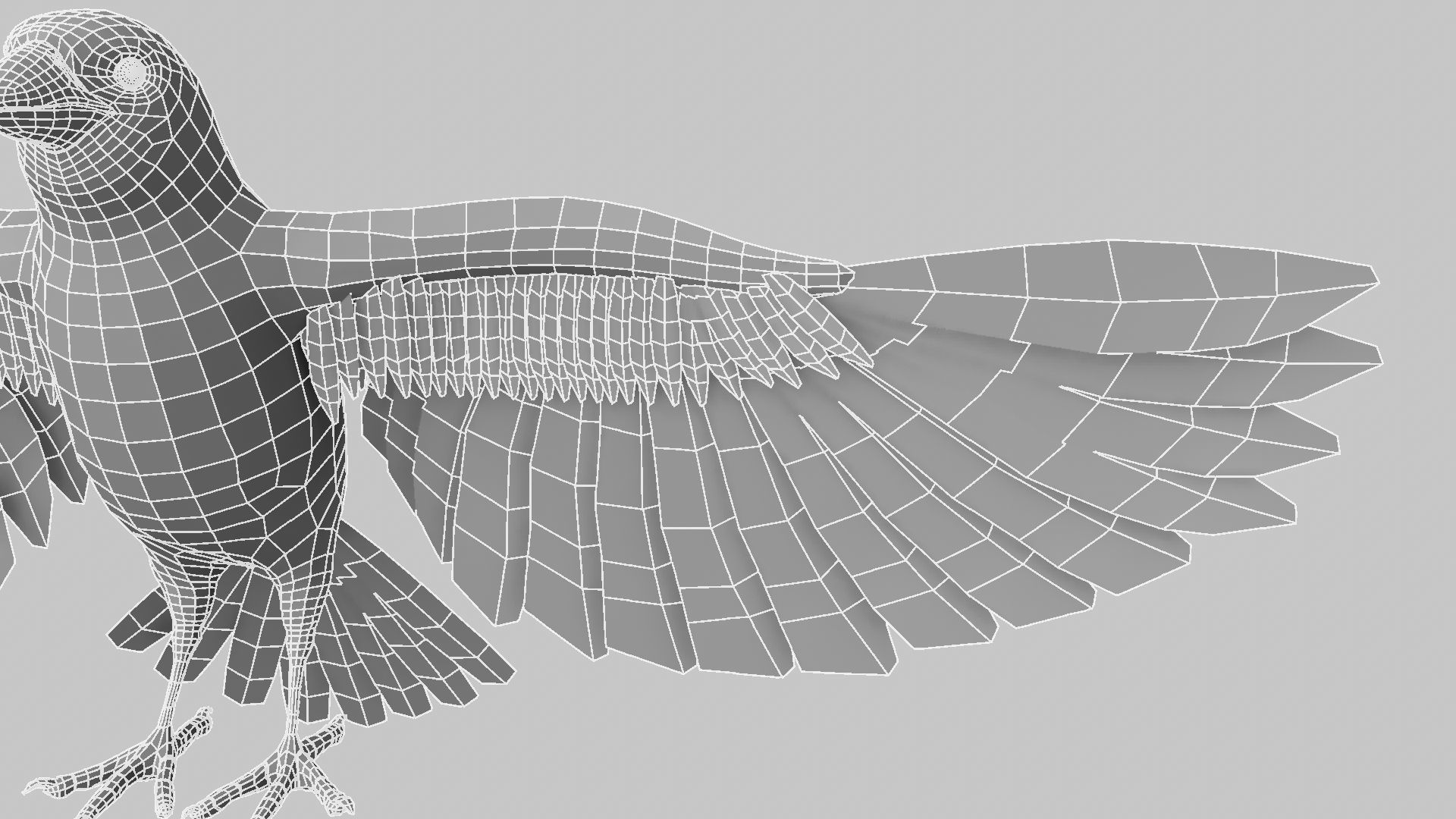 Baya Weaver 3D model_20