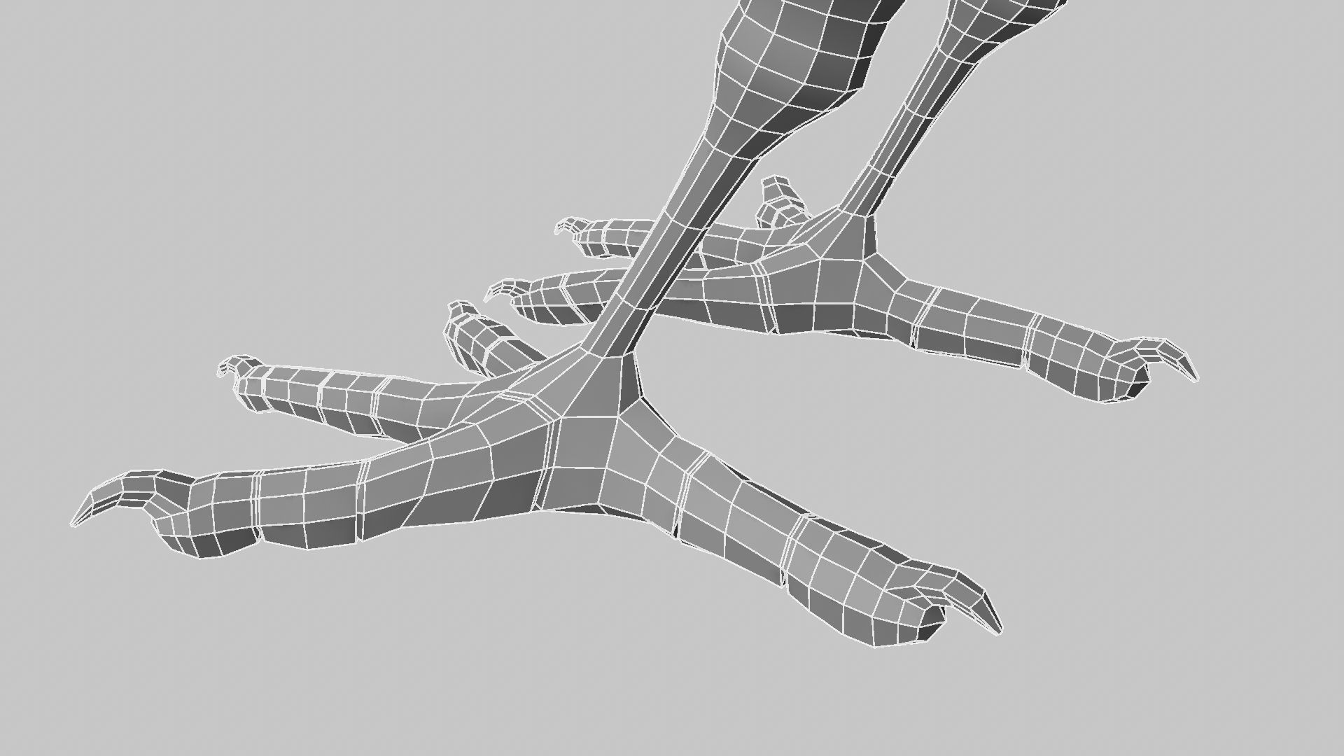 Baya Weaver 3D model_25