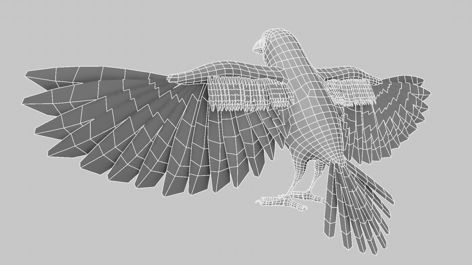 Baya Weaver 3D model_27