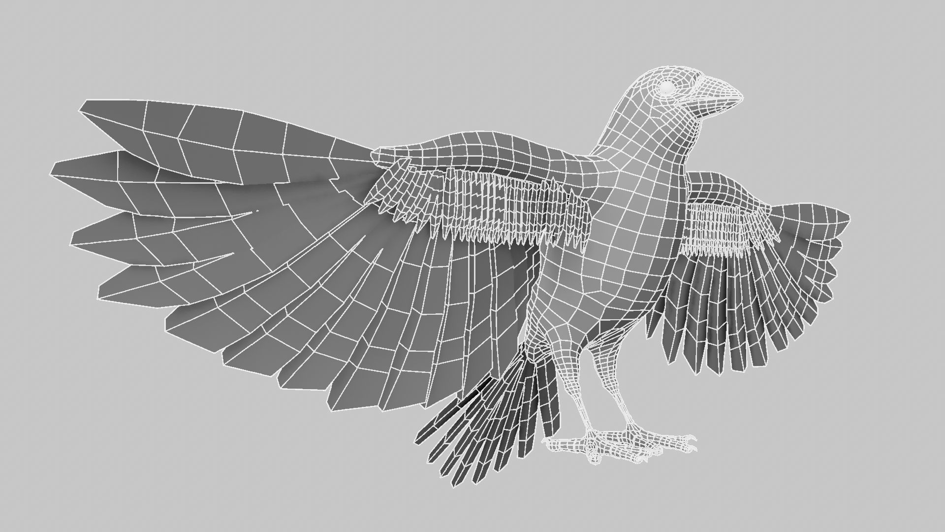 Baya Weaver 3D model_31