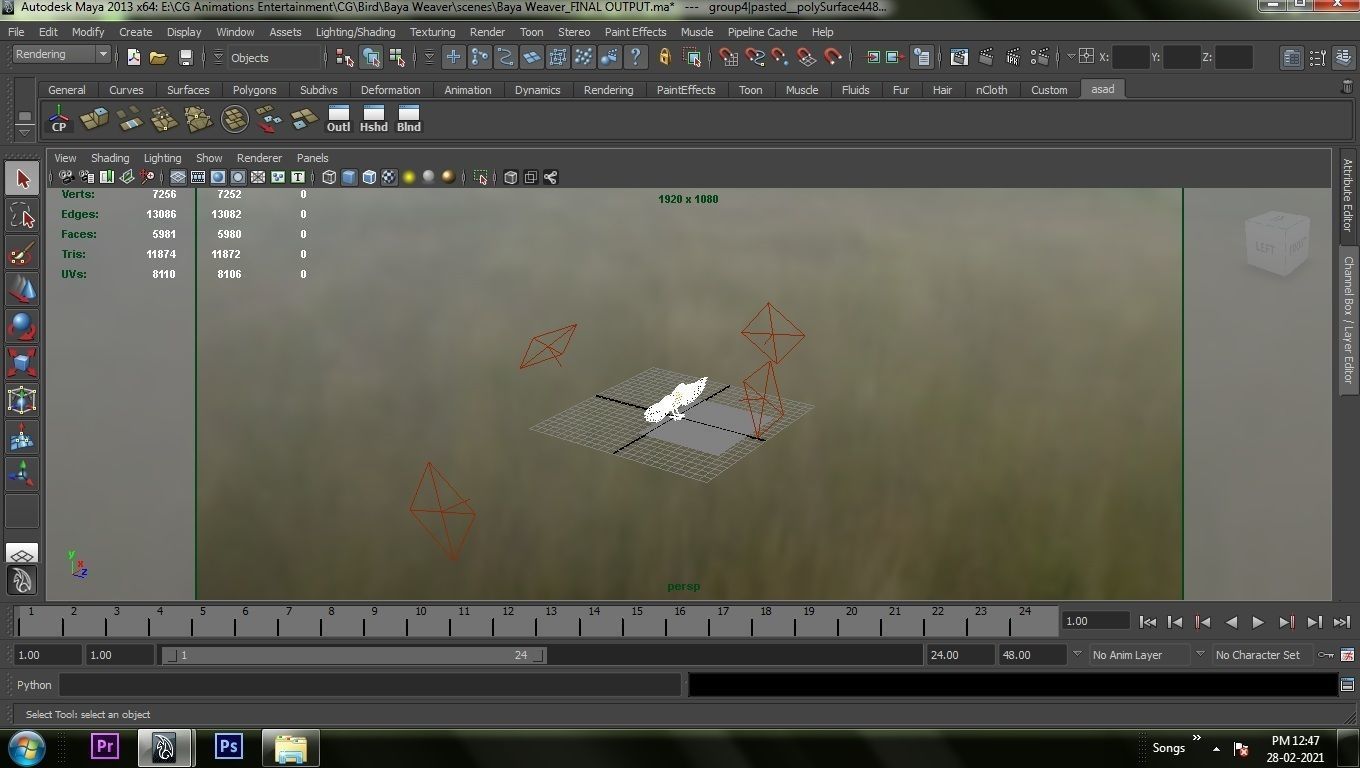 Baya Weaver 3D model_4