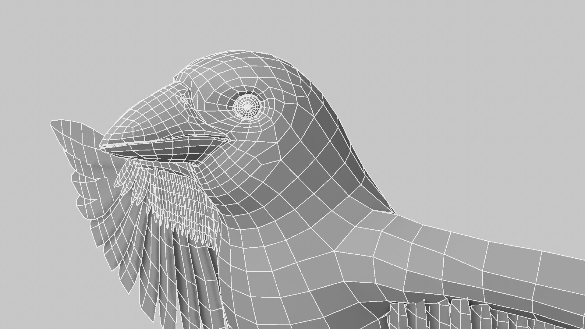 Baya Weaver 3D model_17