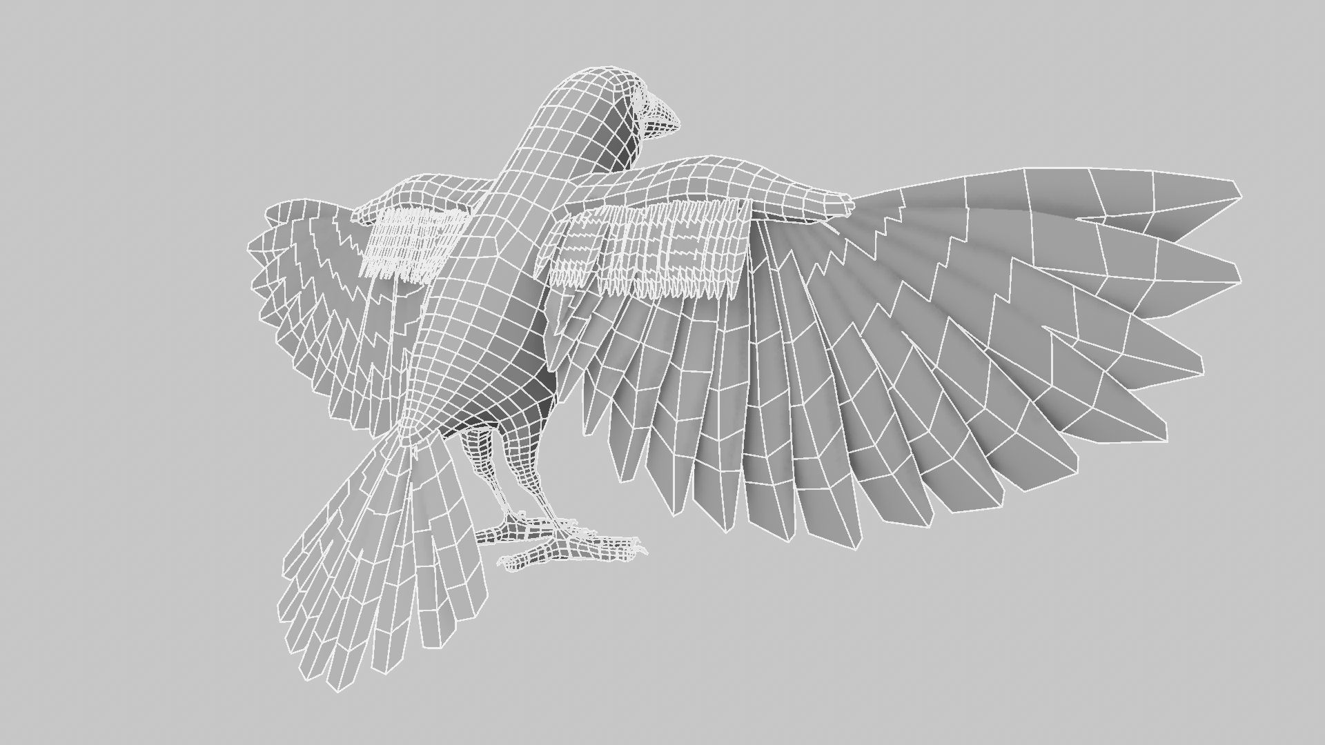 Baya Weaver 3D model_28