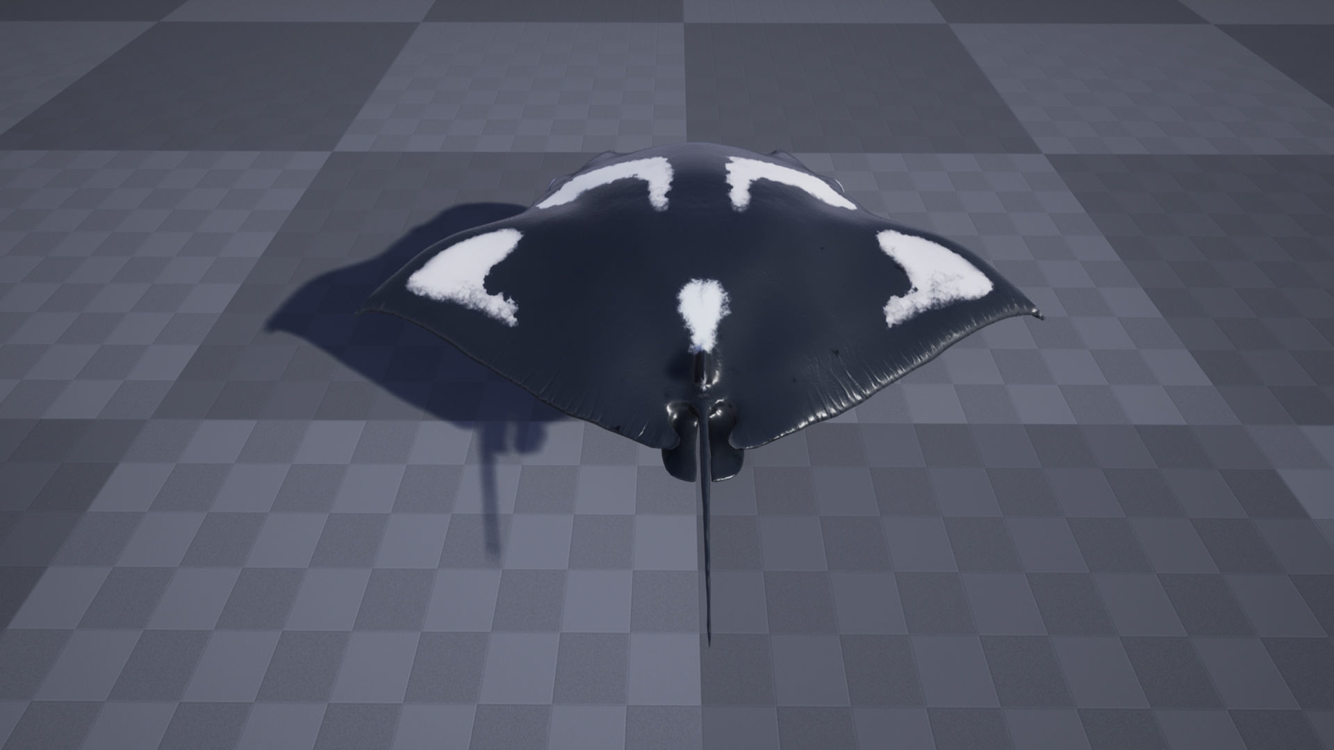 Manta Stingray 6 Animations Unity and UE4 Low-poly 3D model_8