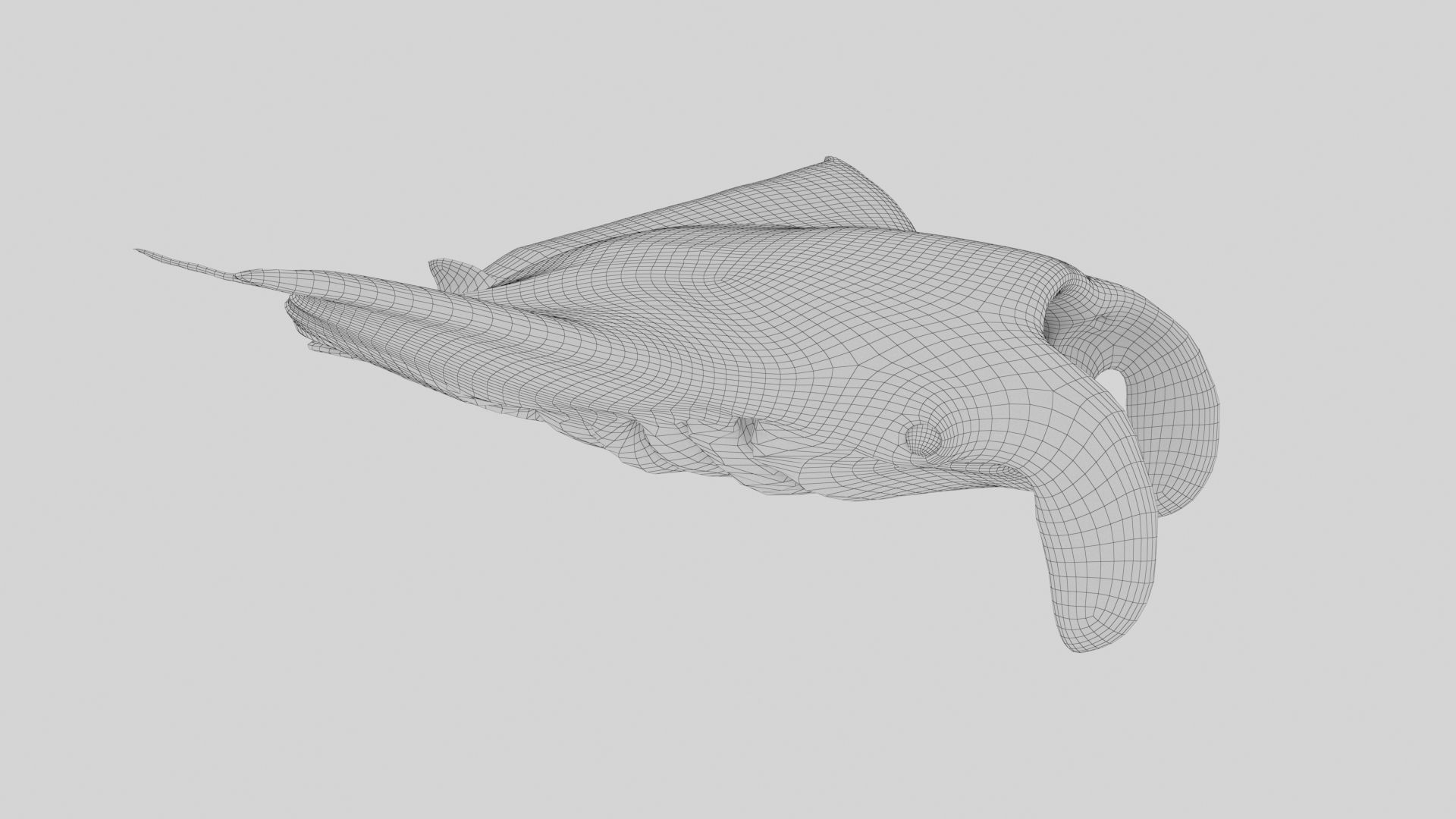 Manta Stingray 6 Animations Unity and UE4 Low-poly 3D model_34