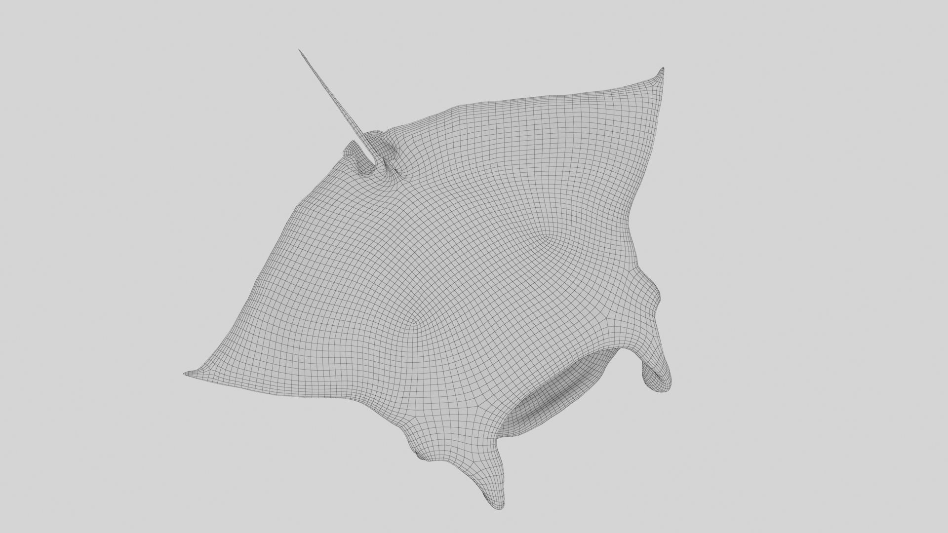 Manta Stingray 6 Animations Unity and UE4 Low-poly 3D model_39