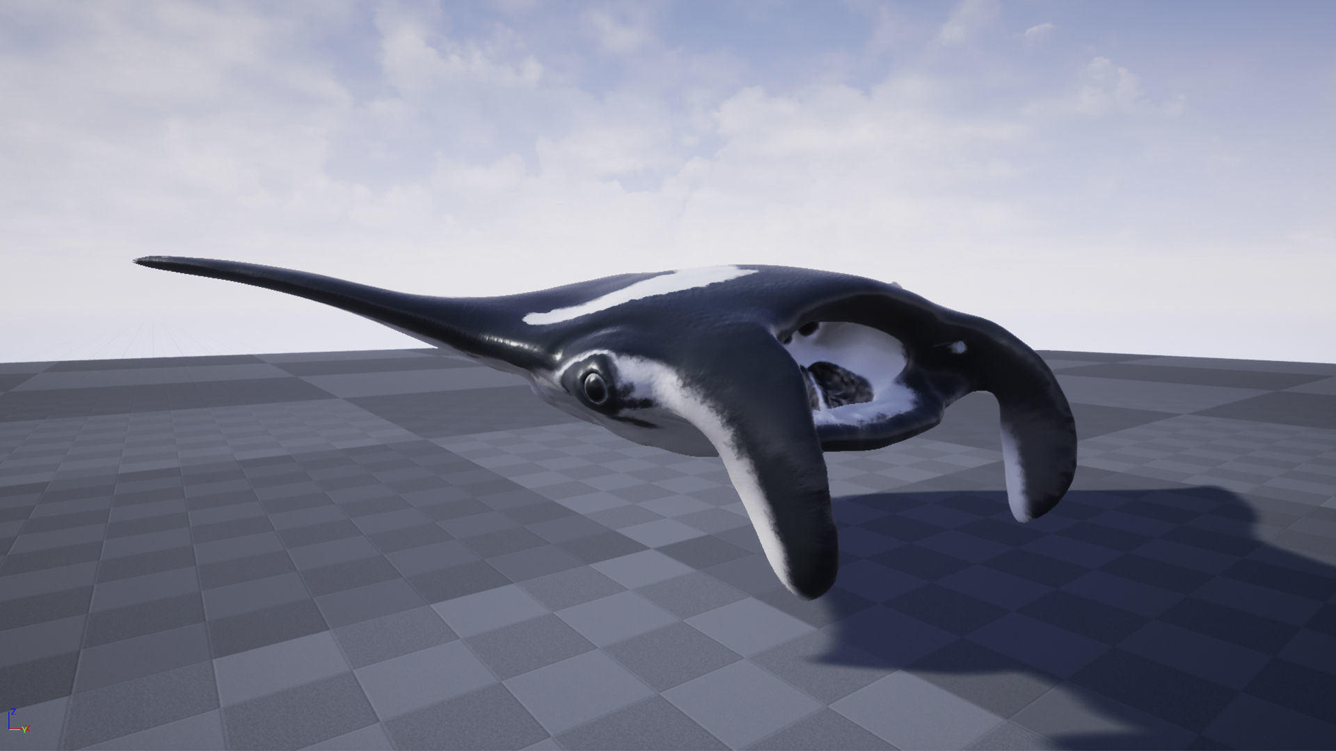Manta Stingray 6 Animations Unity and UE4 Low-poly 3D model_6