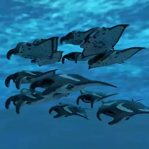 Manta Stingray 6 Animations Unity and UE4 Low-poly 3D model
