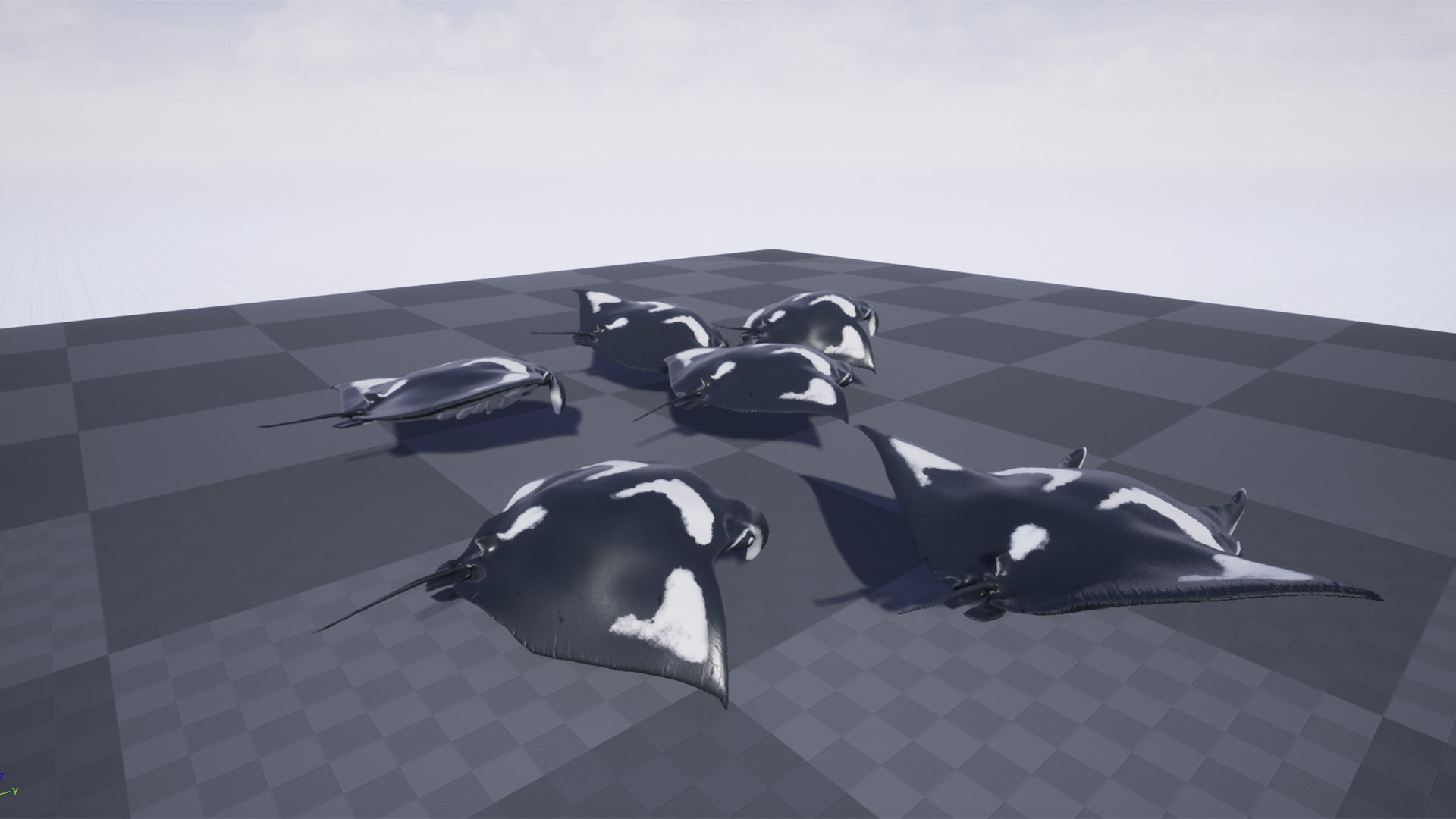 Manta Stingray 6 Animations Unity and UE4 Low-poly 3D model_13