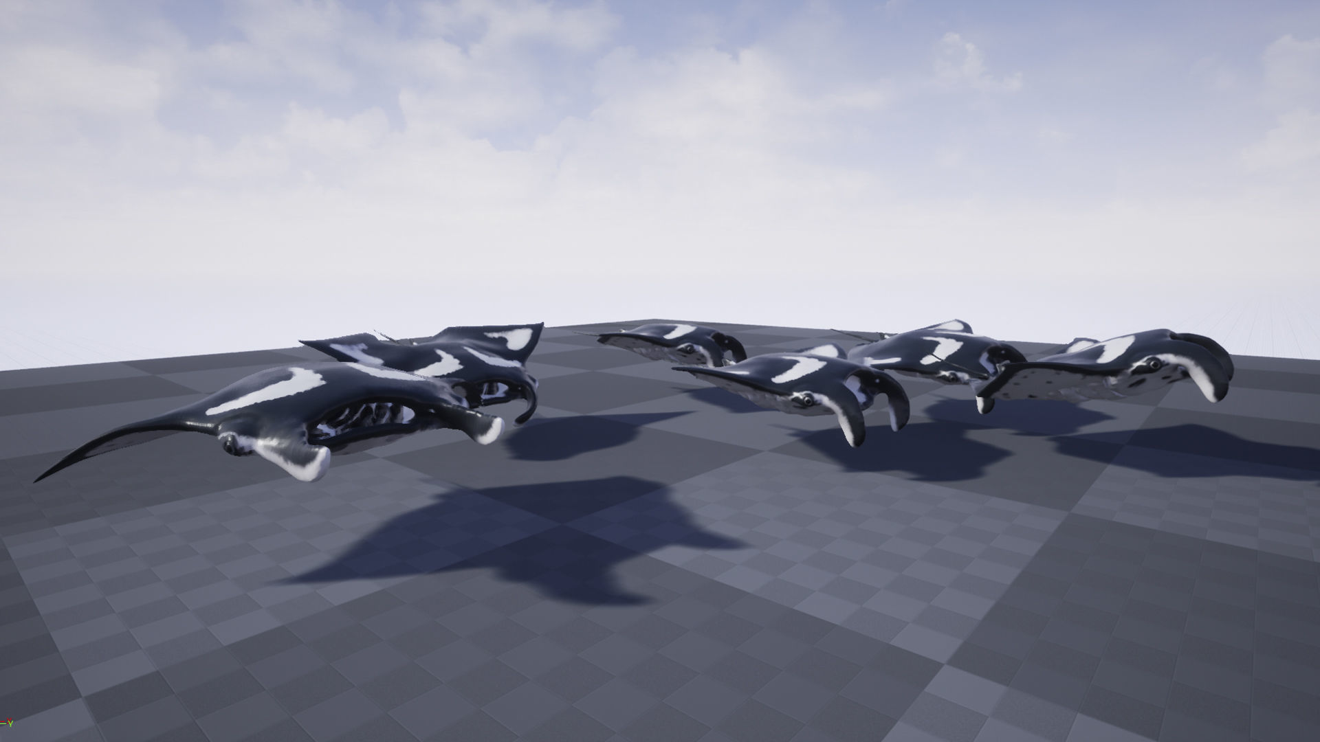 Manta Stingray 6 Animations Unity and UE4 Low-poly 3D model_11