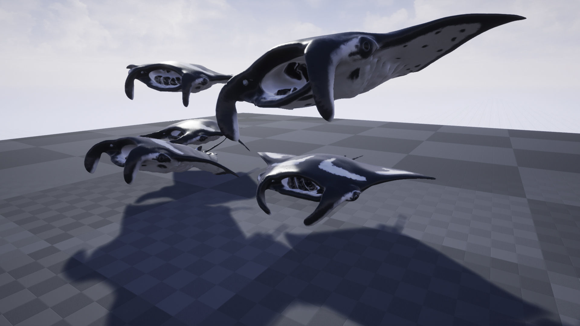 Manta Stingray 6 Animations Unity and UE4 Low-poly 3D model_24