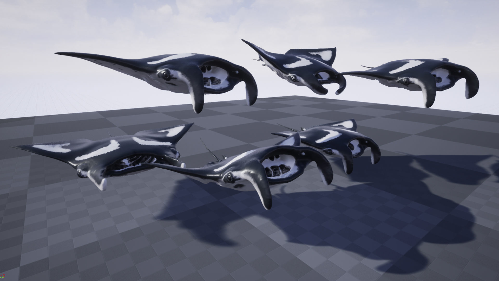 Manta Stingray 6 Animations Unity and UE4 Low-poly 3D model_21