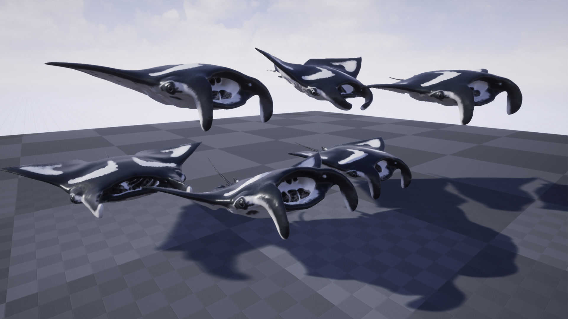 Manta Stingray 6 Animations Unity and UE4 Low-poly 3D model_22