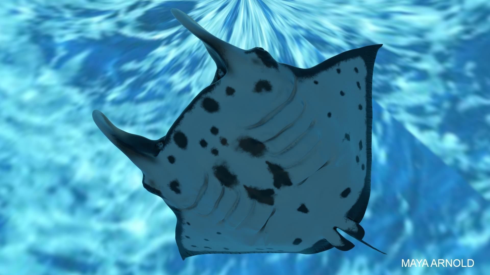 Manta Stingray 6 Animations Unity and UE4 Low-poly 3D model_14