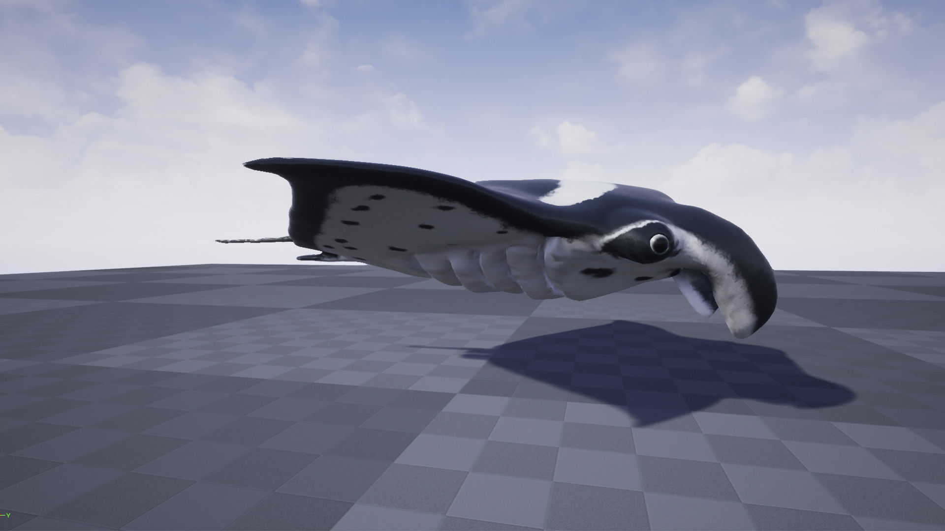 Manta Stingray 6 Animations Unity and UE4 Low-poly 3D model_7