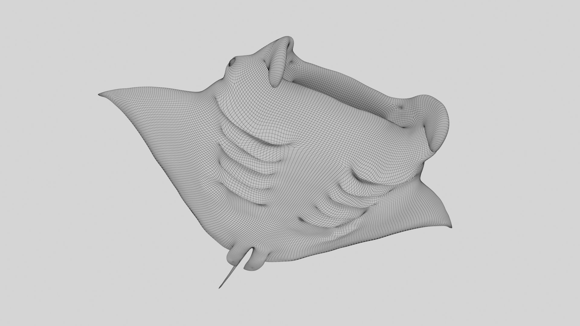 Manta Stingray 6 Animations Unity and UE4 Low-poly 3D model_38