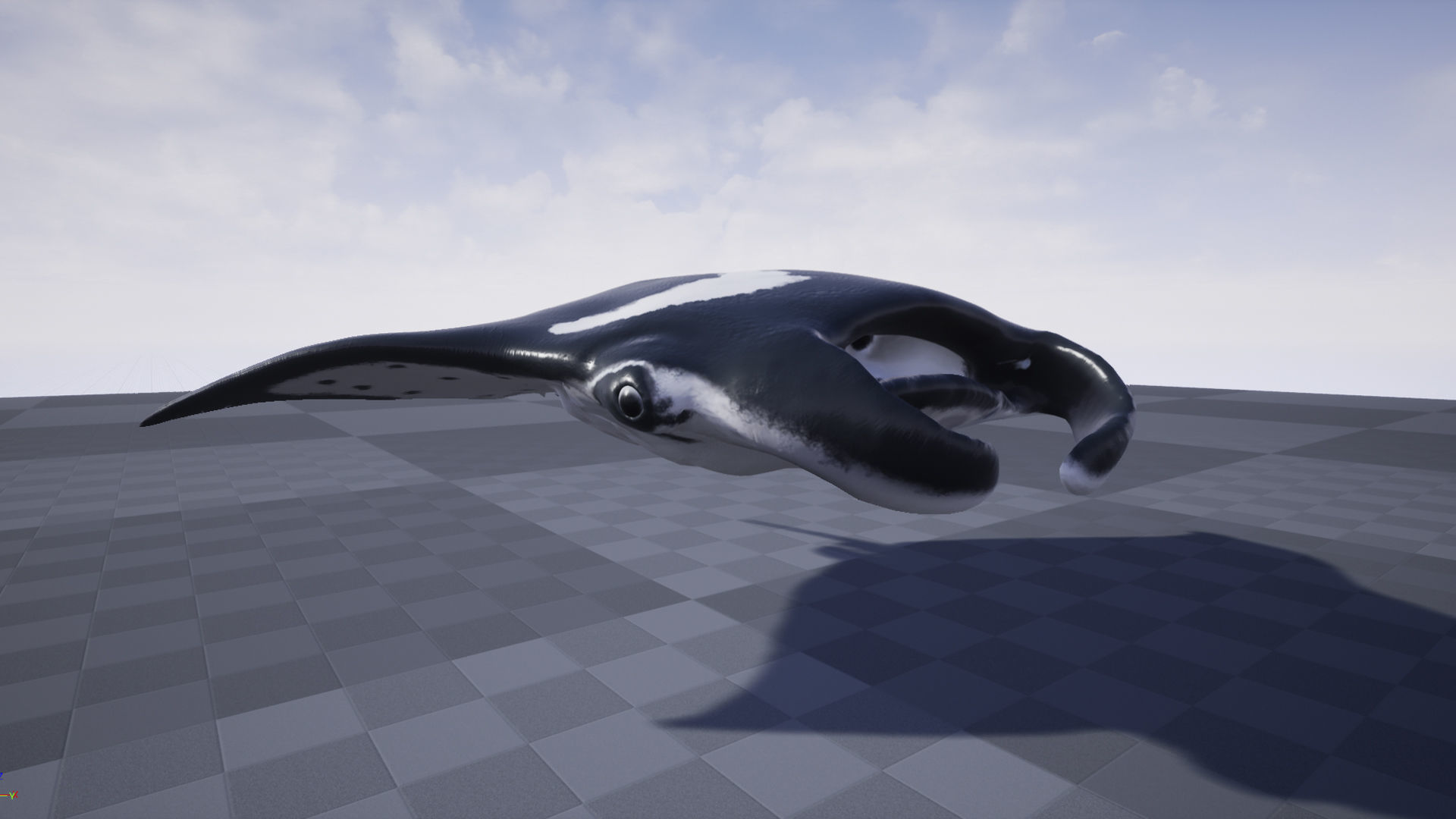 Manta Stingray 6 Animations Unity and UE4 Low-poly 3D model_5