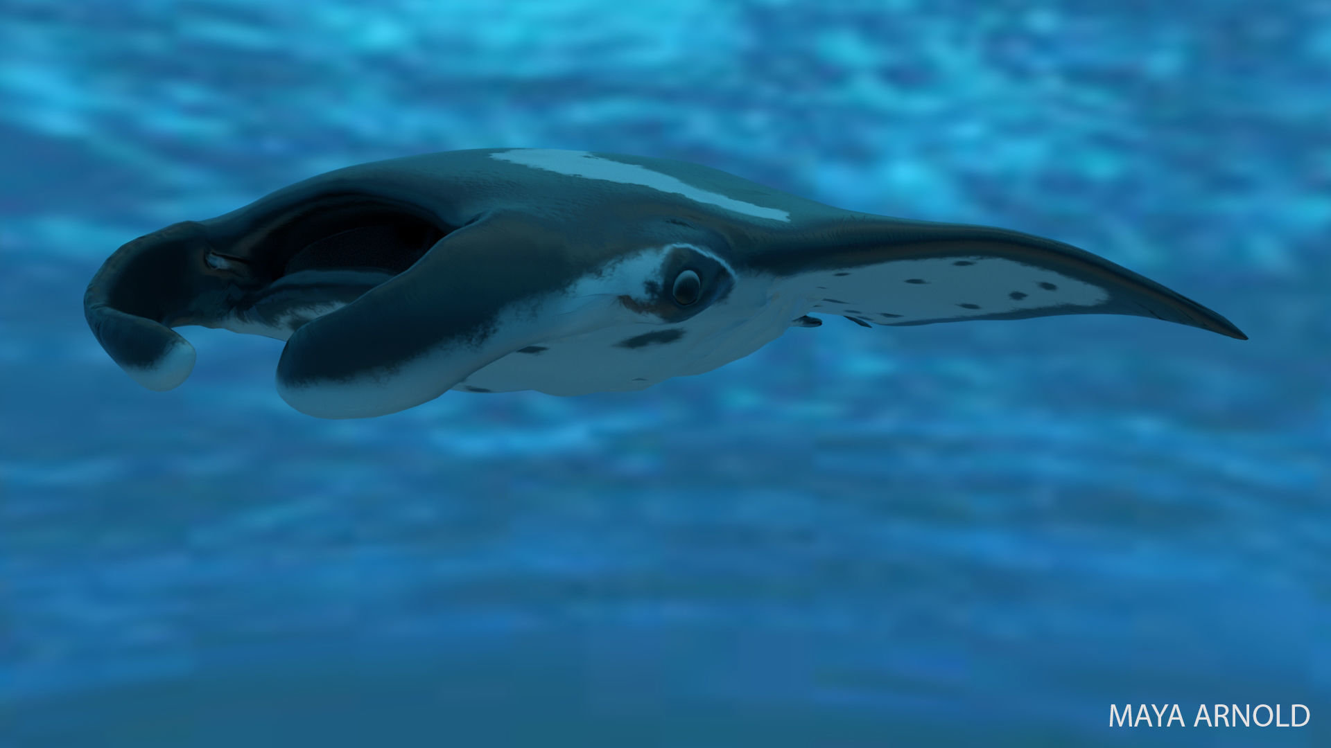Manta Stingray 6 Animations Unity and UE4 Low-poly 3D model_31