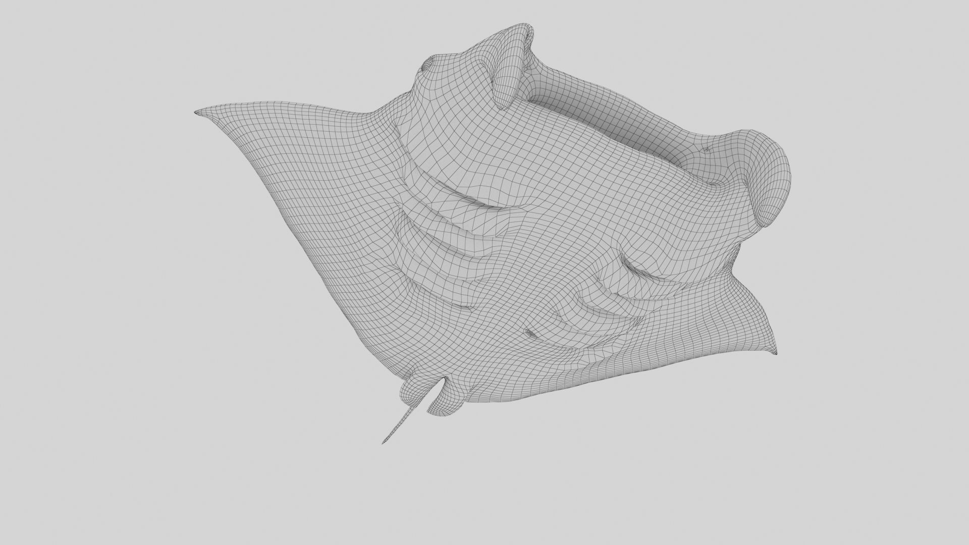 Manta Stingray 6 Animations Unity and UE4 Low-poly 3D model_37