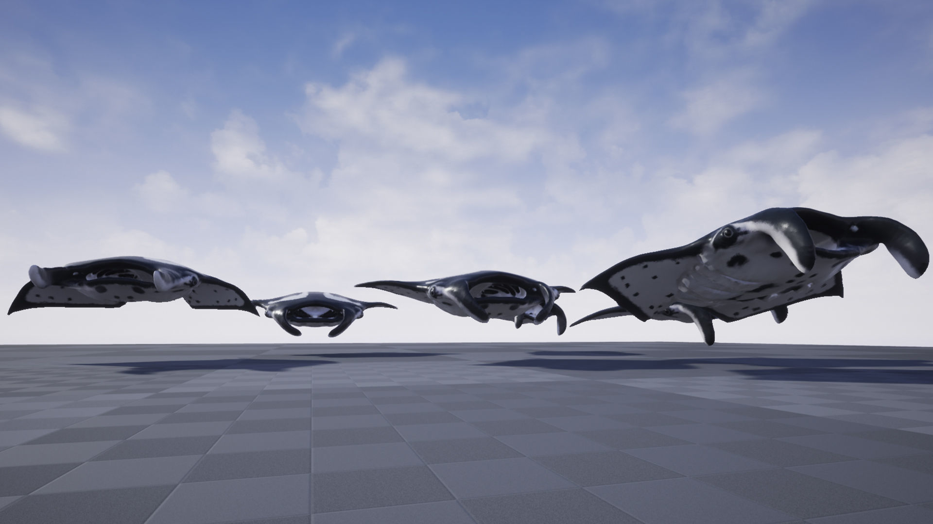 Manta Stingray 6 Animations Unity and UE4 Low-poly 3D model_20
