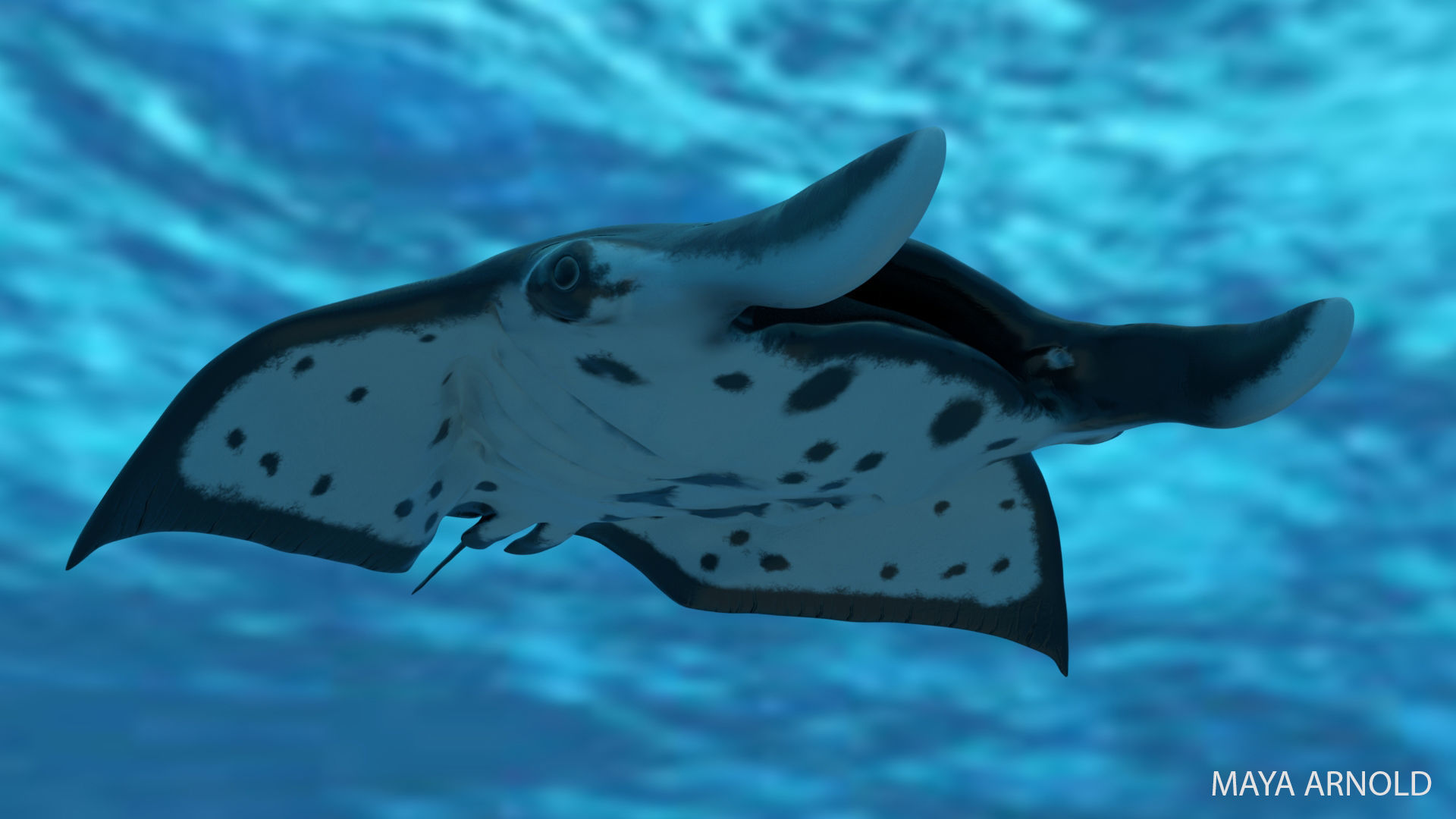 Manta Stingray 6 Animations Unity and UE4 Low-poly 3D model_30