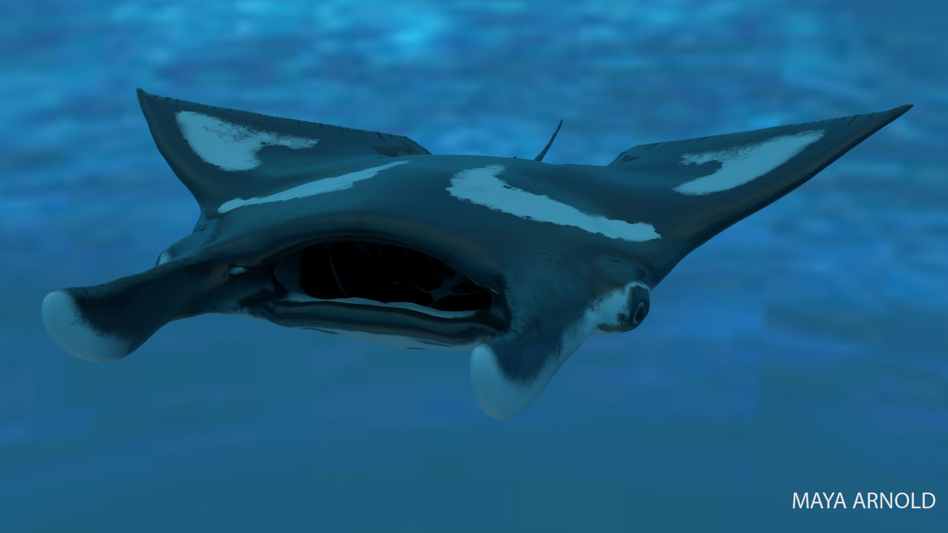Manta Stingray 6 Animations Unity and UE4 Low-poly 3D model_29