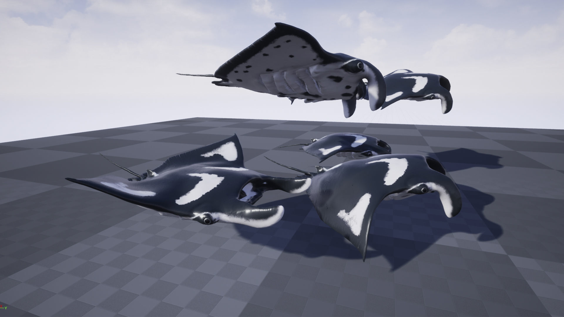 Manta Stingray 6 Animations Unity and UE4 Low-poly 3D model_23