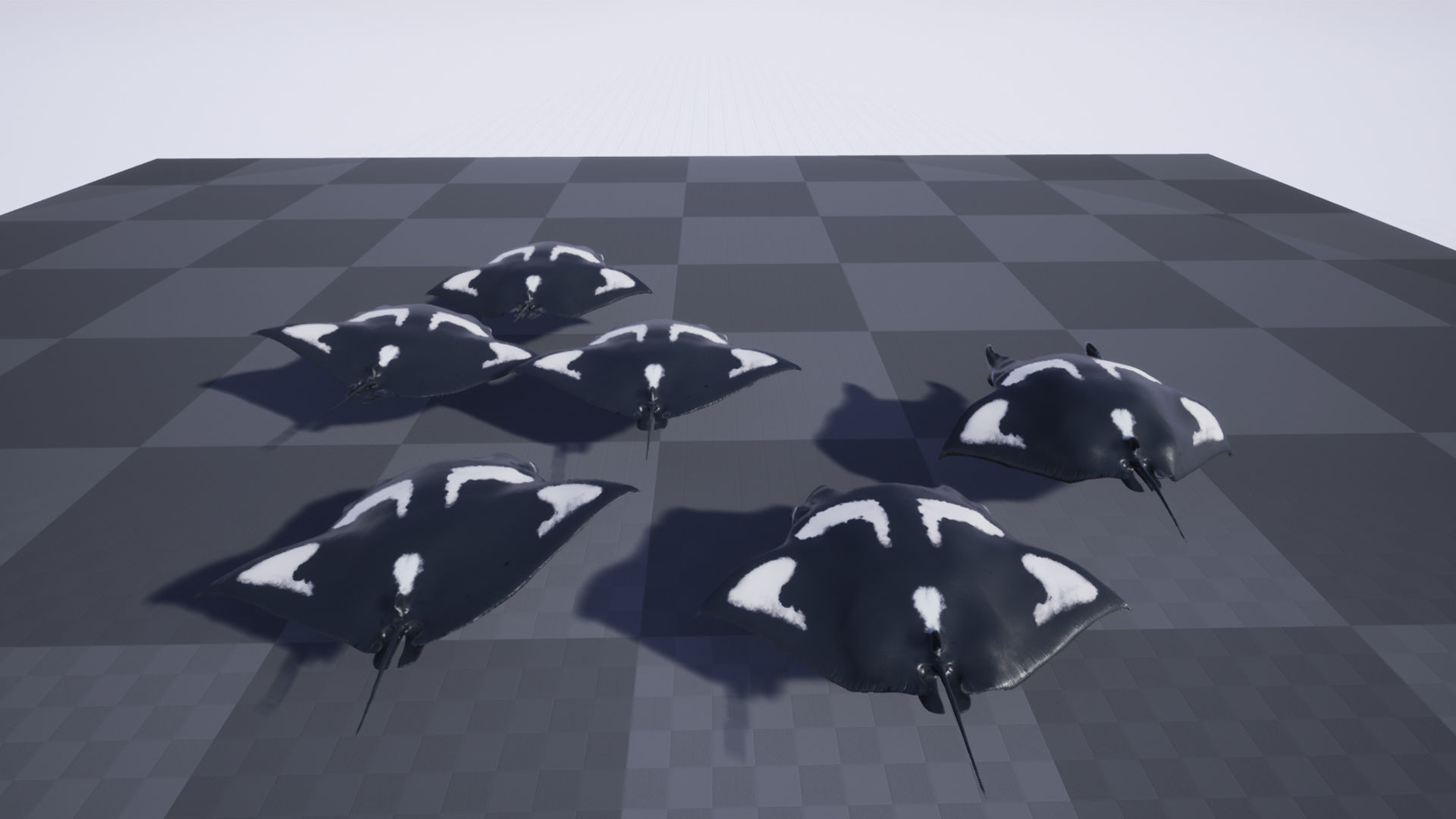 Manta Stingray 6 Animations Unity and UE4 Low-poly 3D model_15