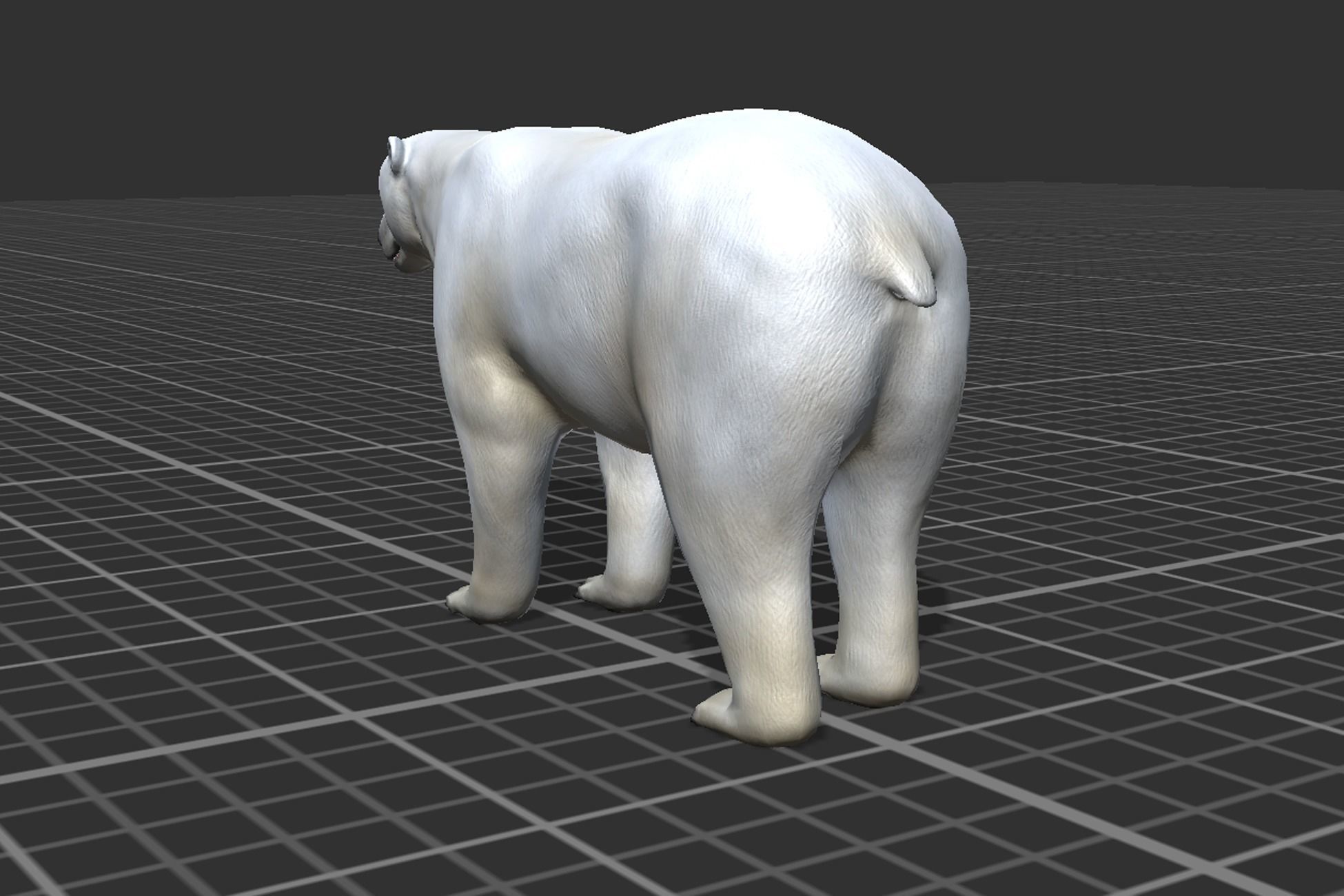 Polar Bear Low-poly 3D model_6
