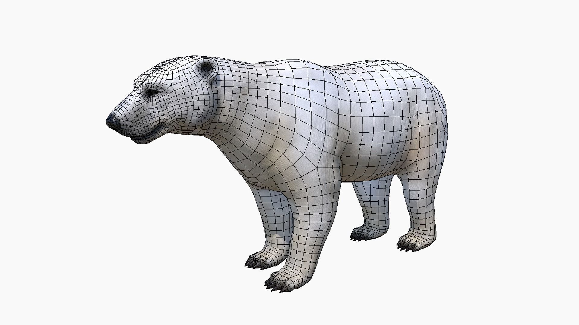 Polar Bear Low-poly 3D model_2
