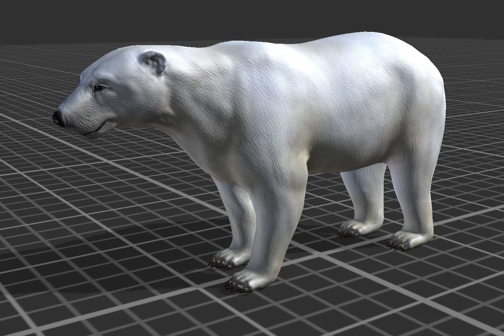 Polar Bear Low-poly 3D model_8